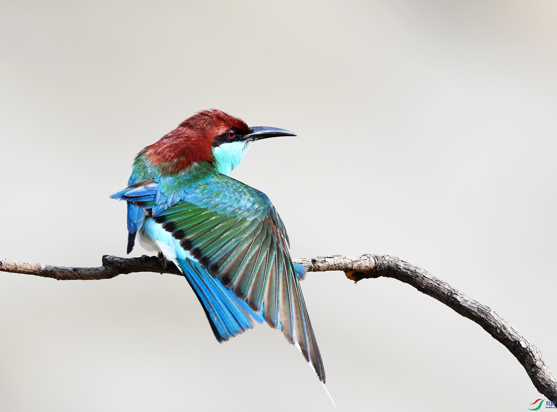 DSC_3269.jpg