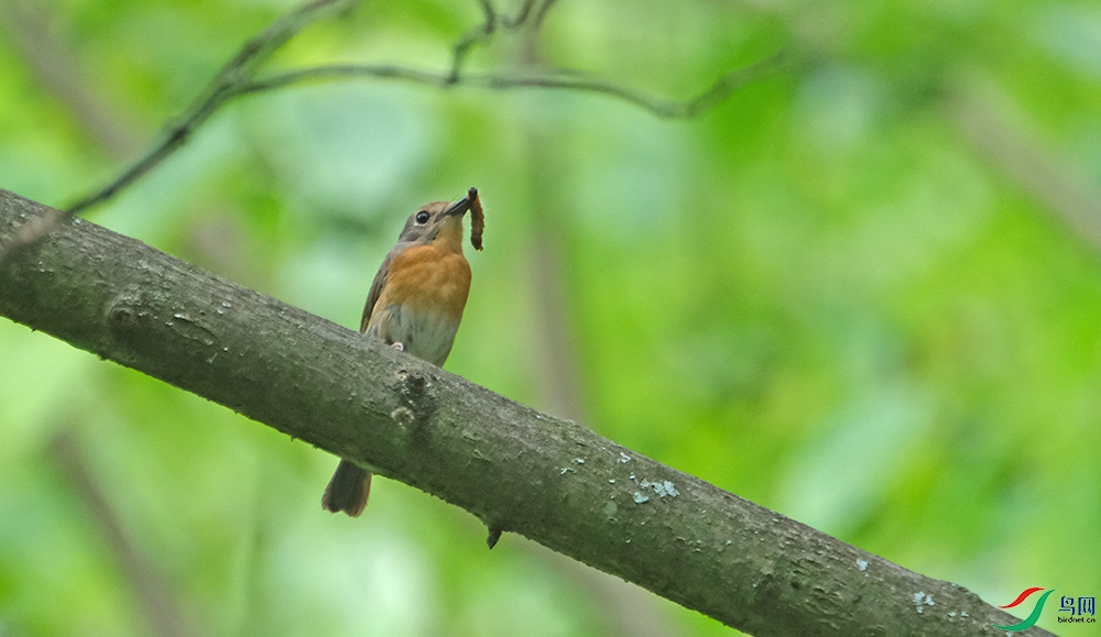 DSCF8711.1.jpg