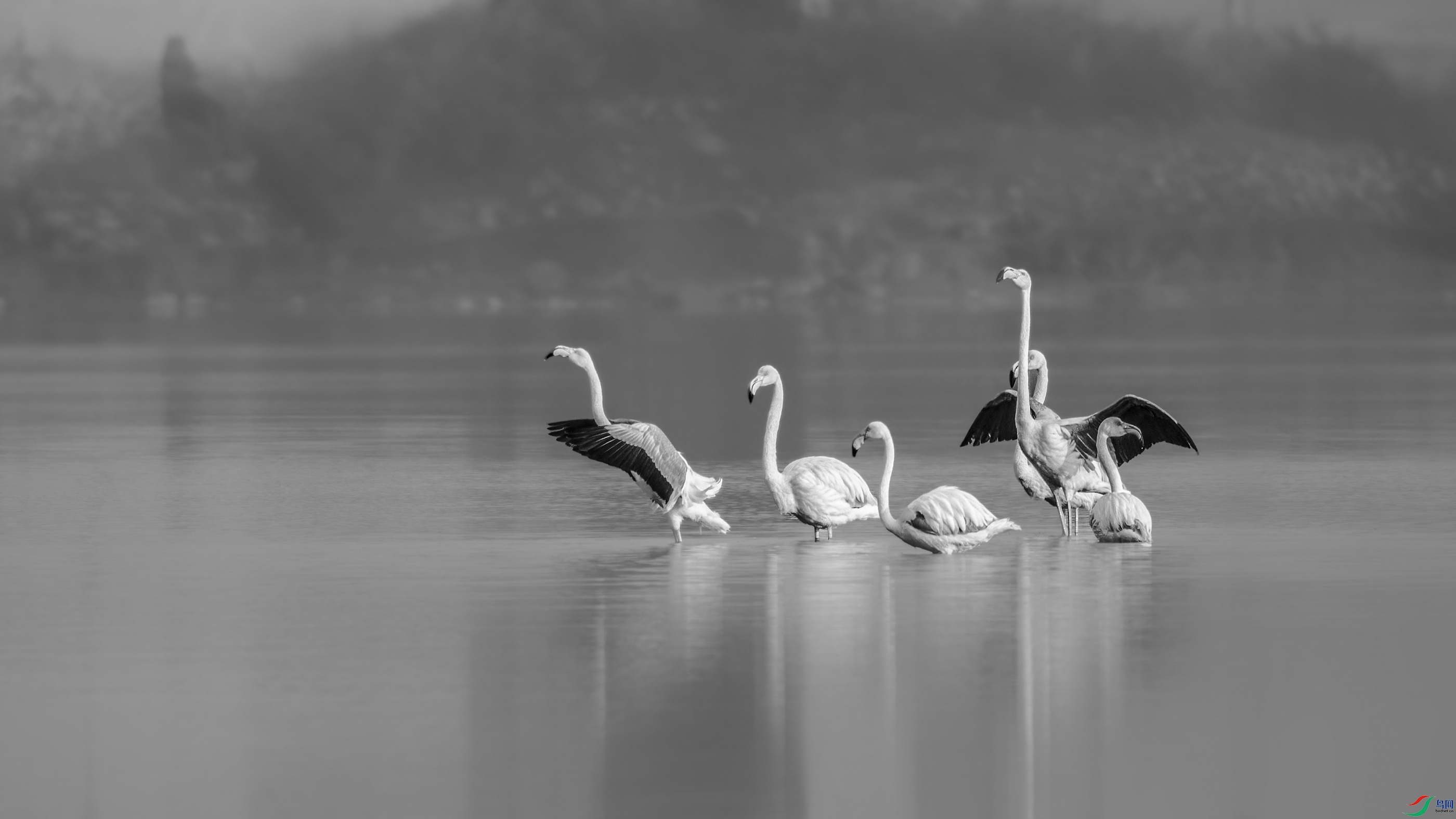 DSC_9206_DxO.jpg