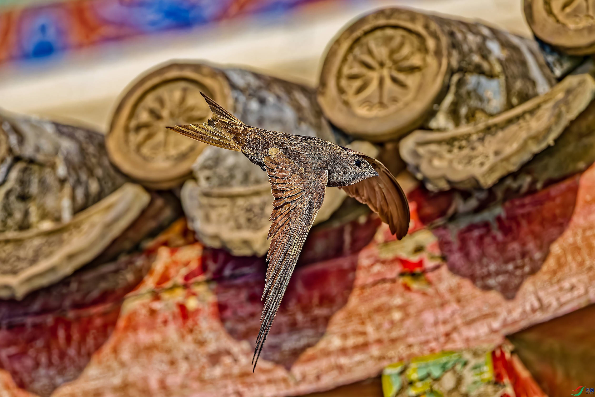 DSC_8187_DXO_DXO.jpg
