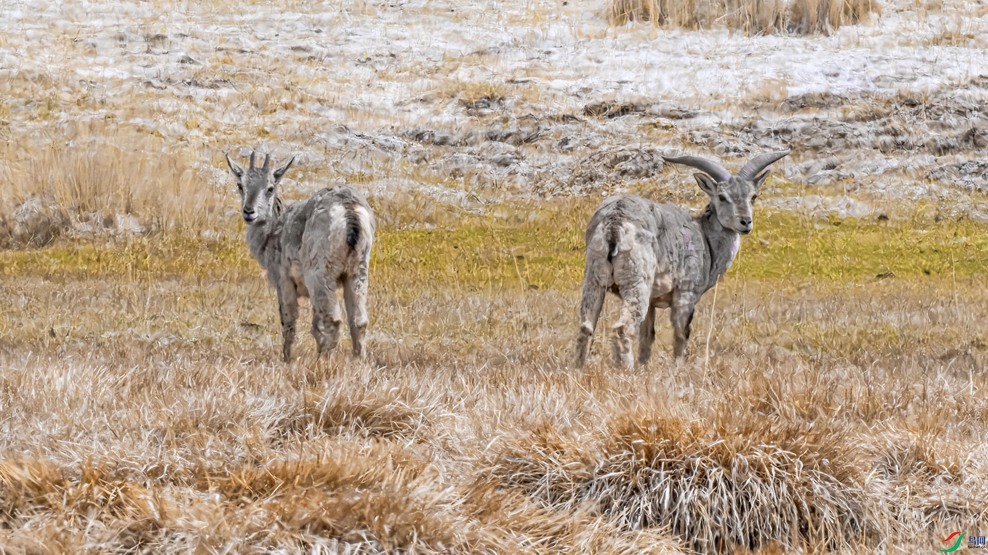 DSC_6989 ����.jpg