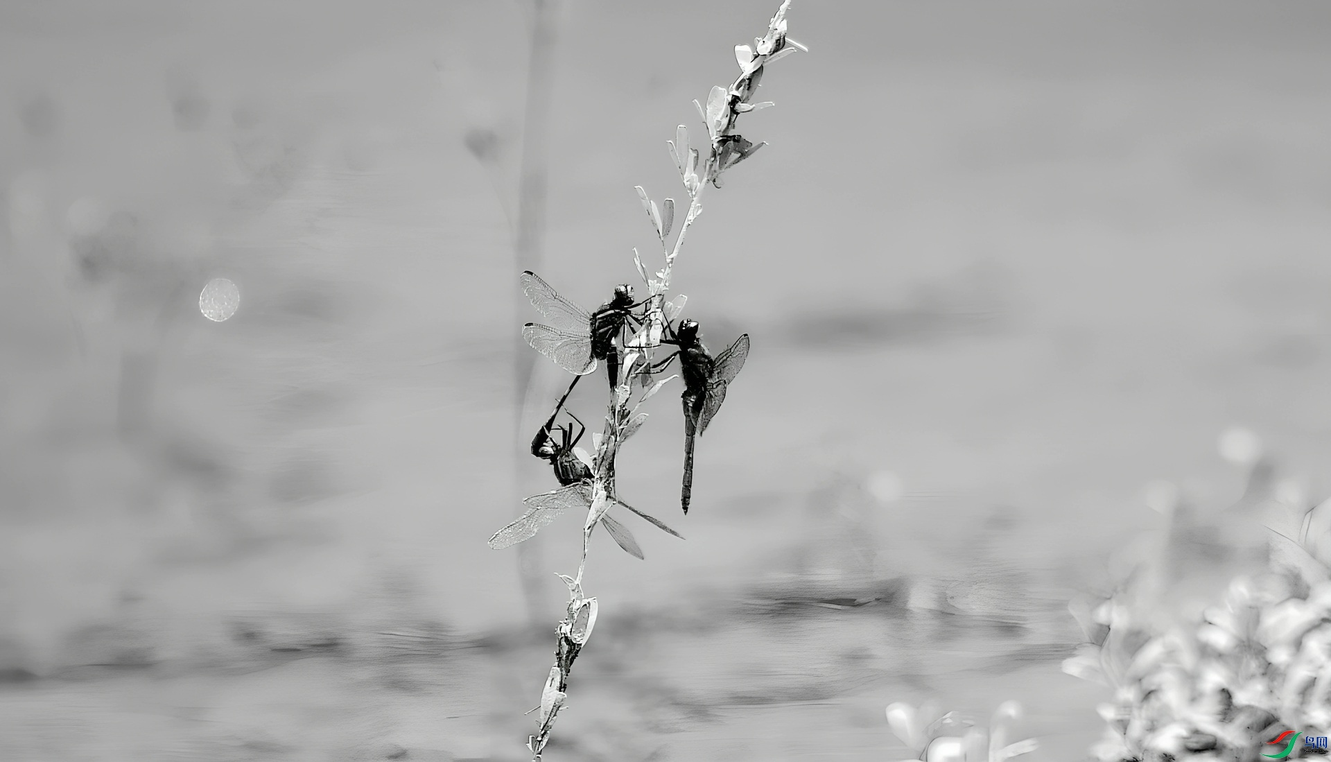 DSC_8128_����.jpg