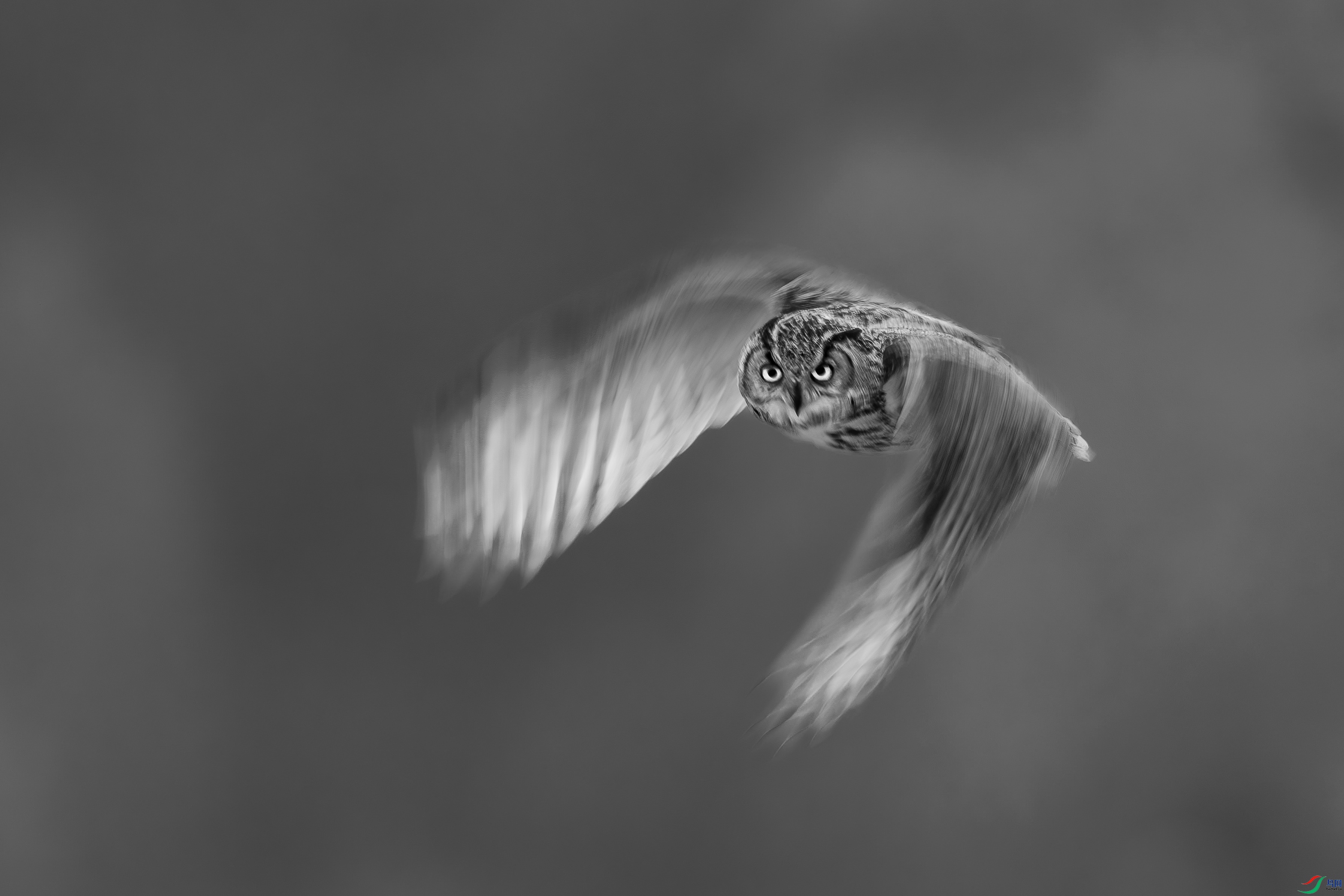 C8674.jpg