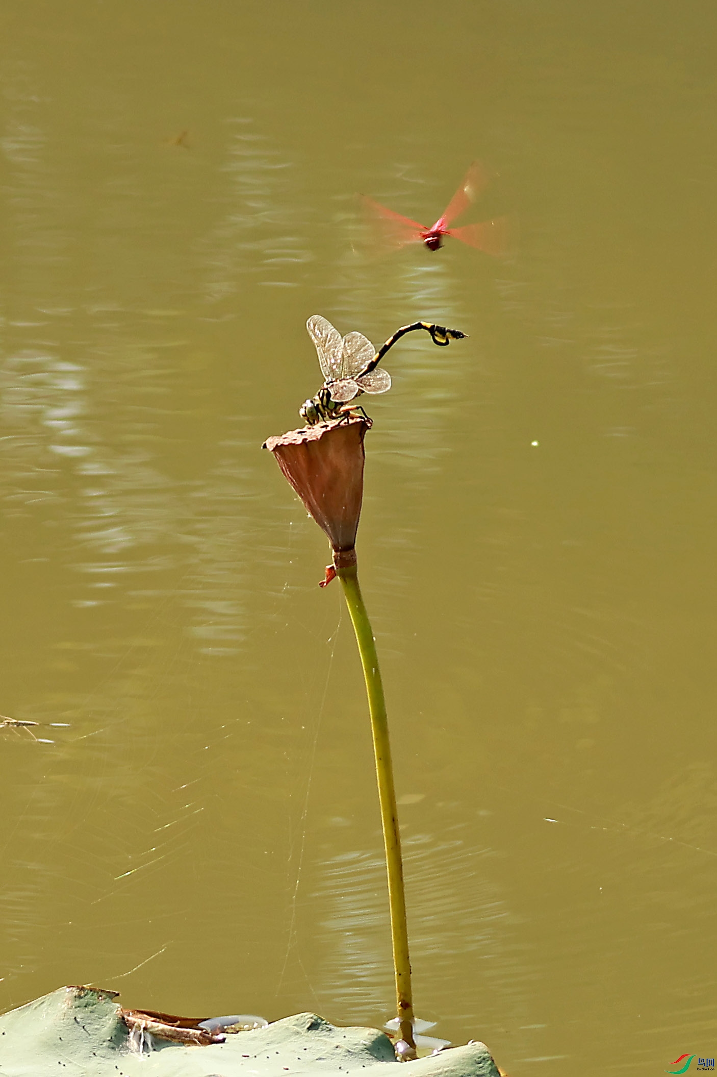 2G9A3445.JPG