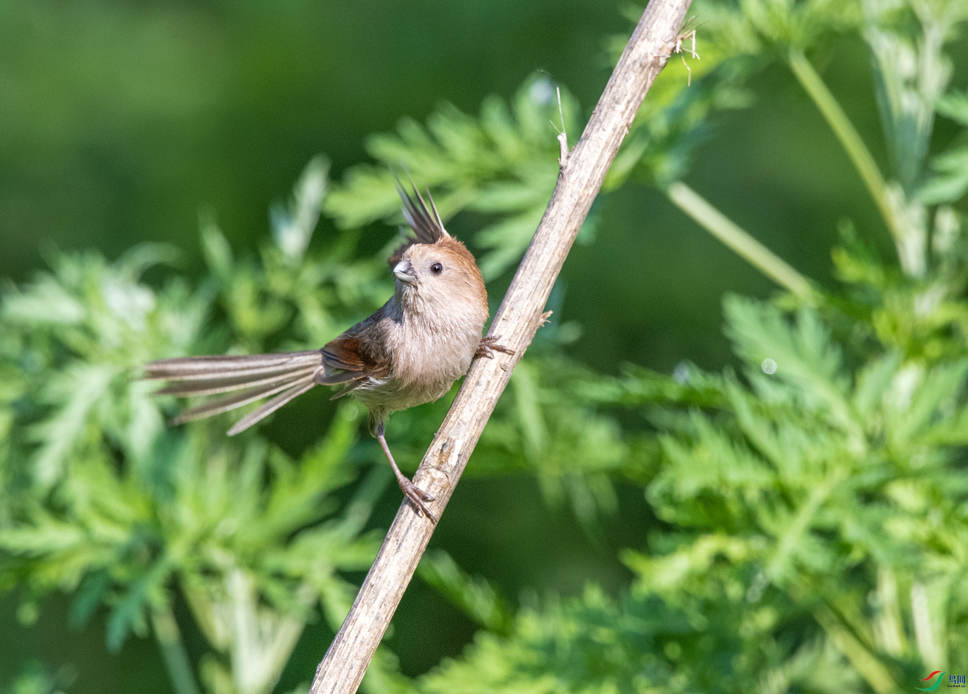 DSC_3964_��ͼ�� ����.jpg
