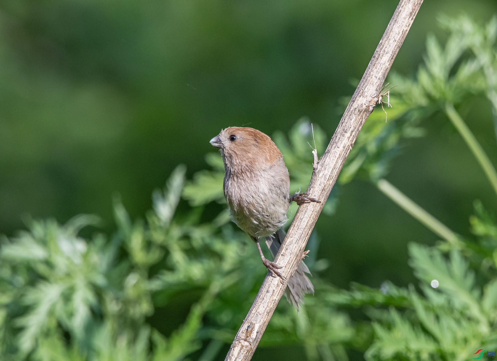 DSC_4000_��ͼ�� ����.jpg