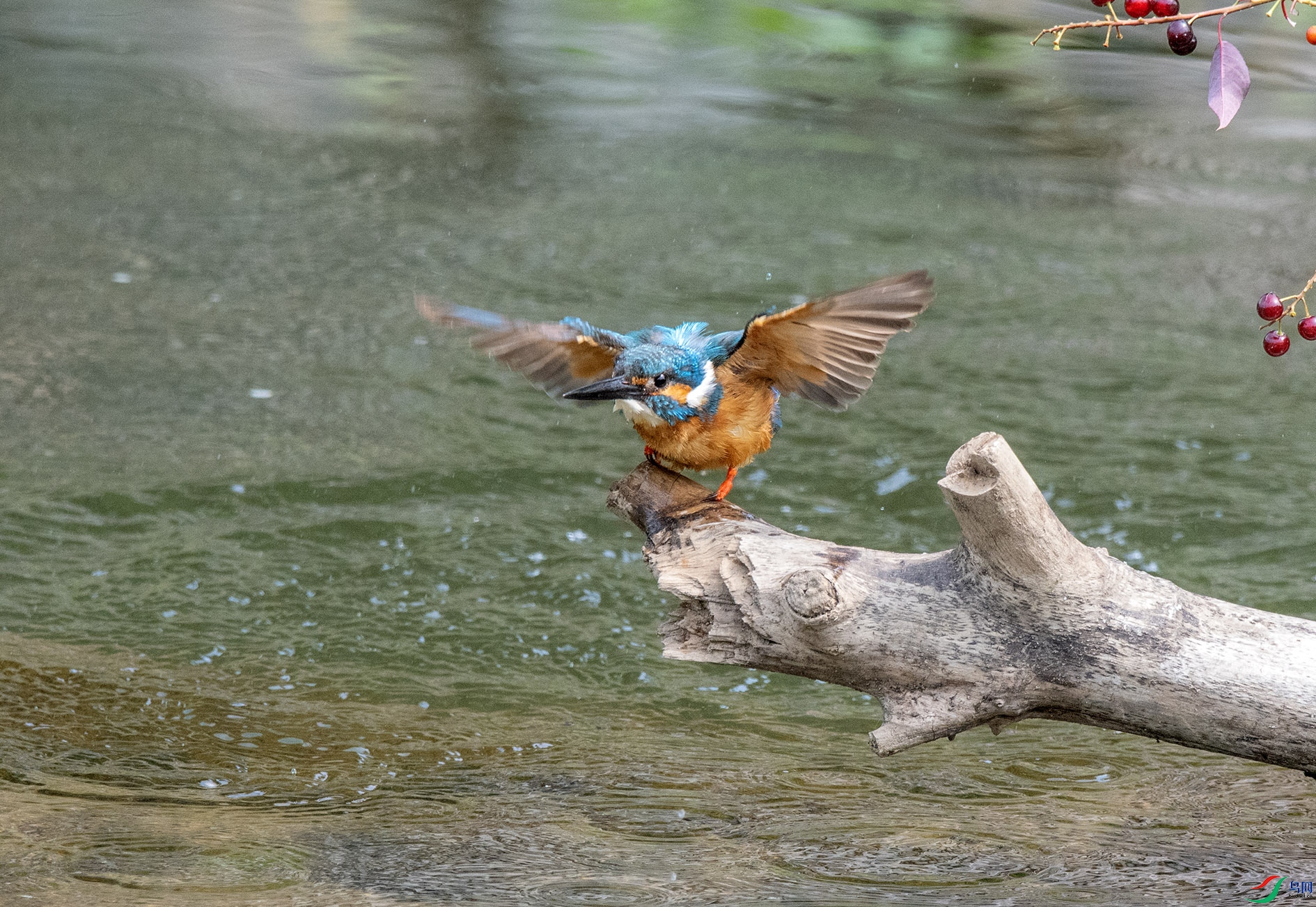 DSC_4504_��ͼ�� ����.jpg