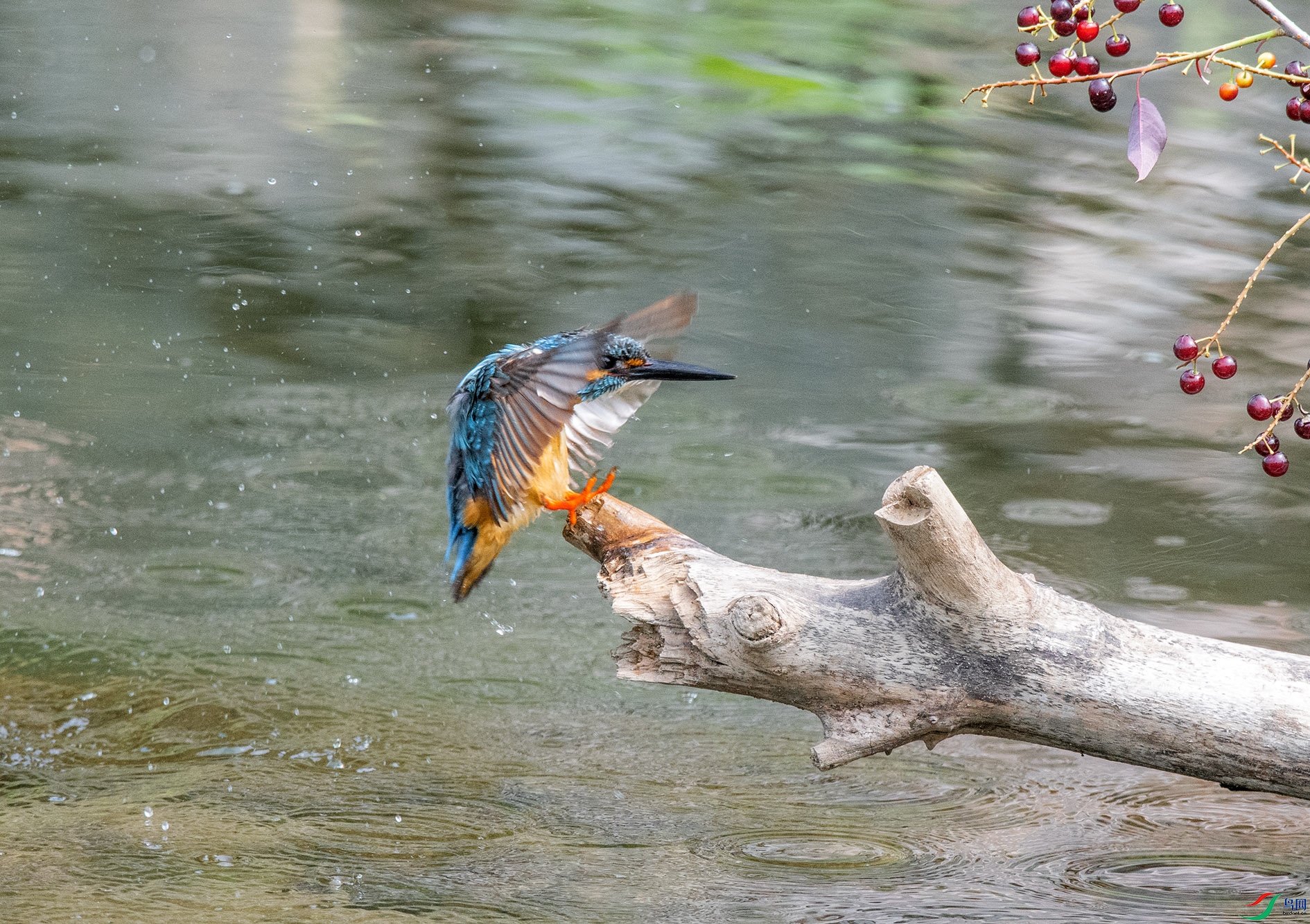 DSC_4488_��ͼ�� ����.jpg