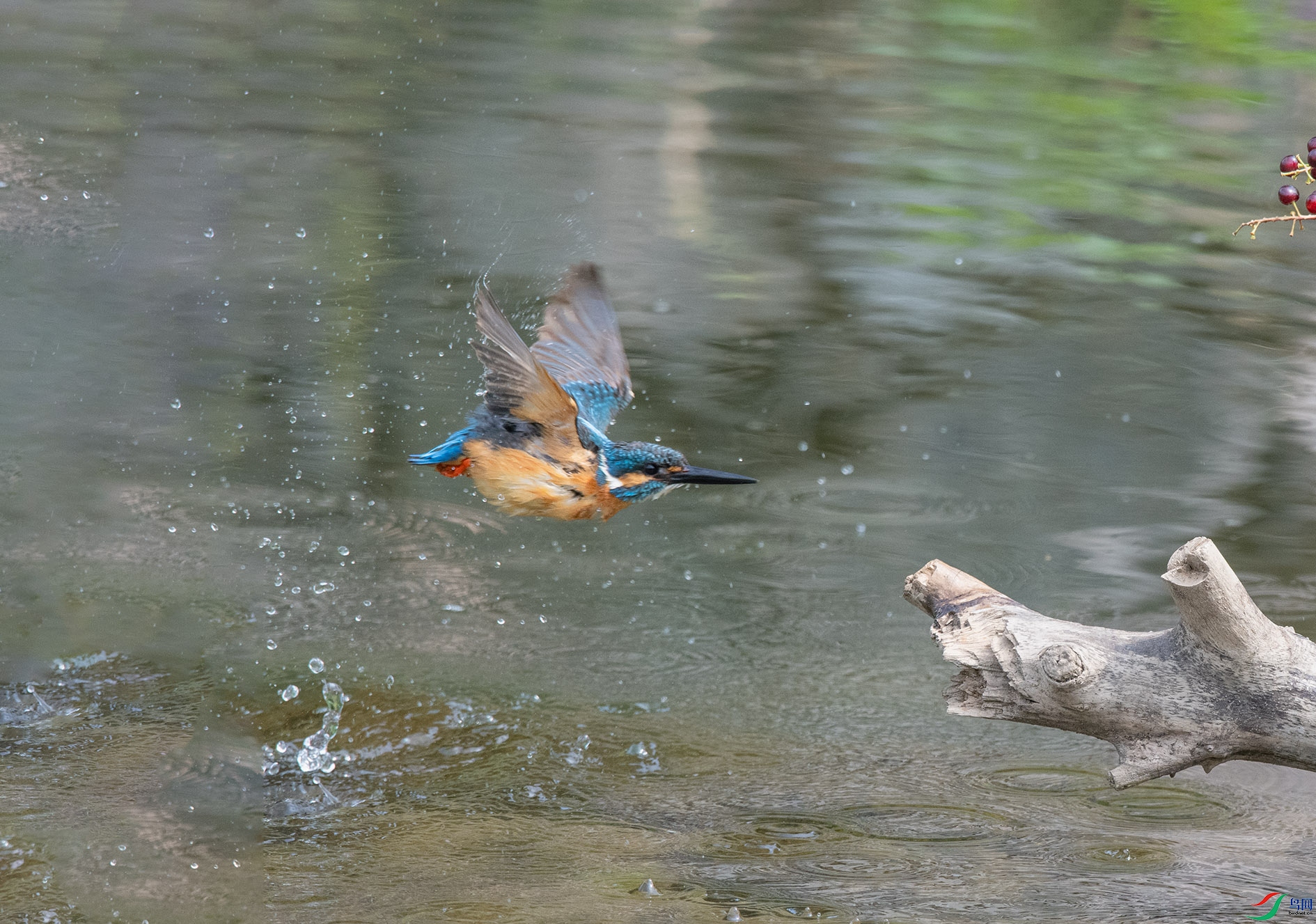 DSC_4487_��ͼ�� ����.jpg