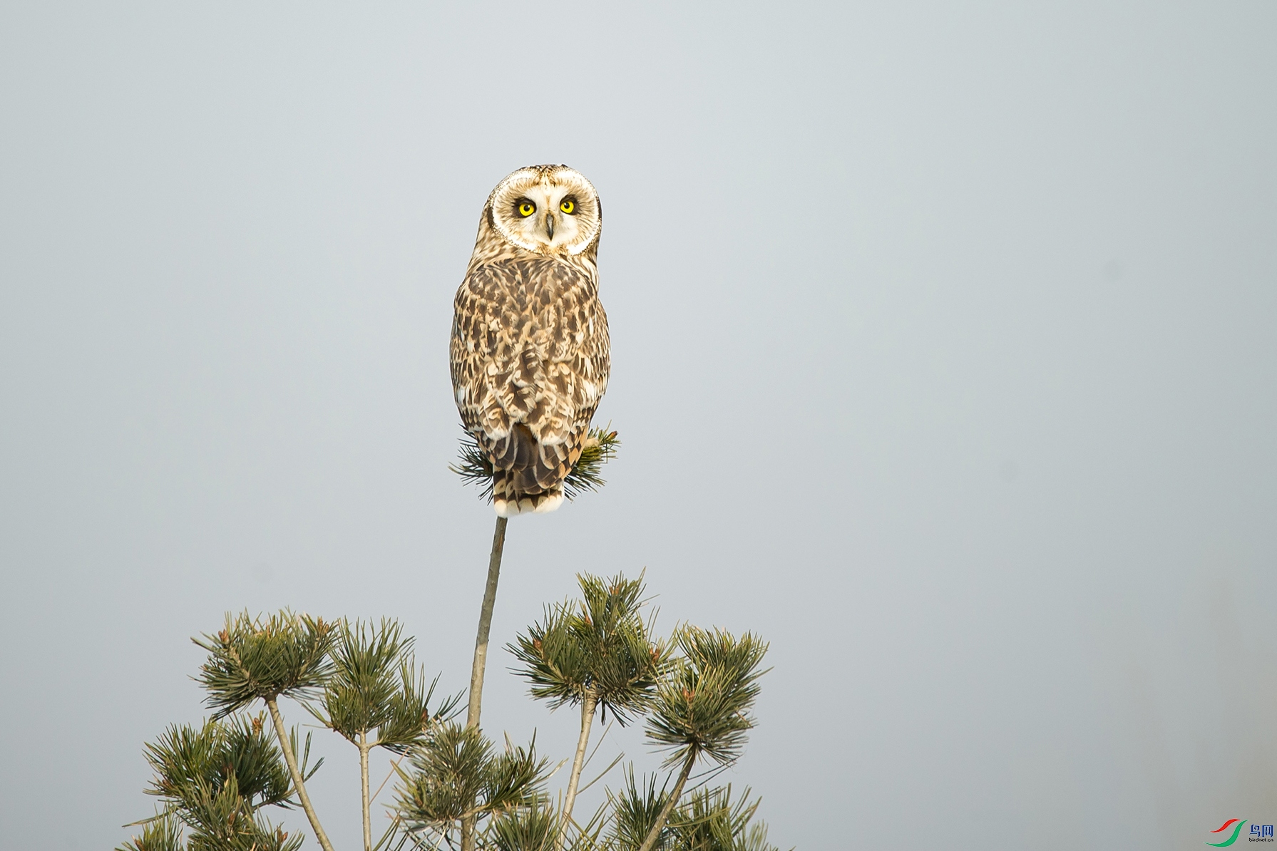 DSC_0231-20201206�ü�.jpg