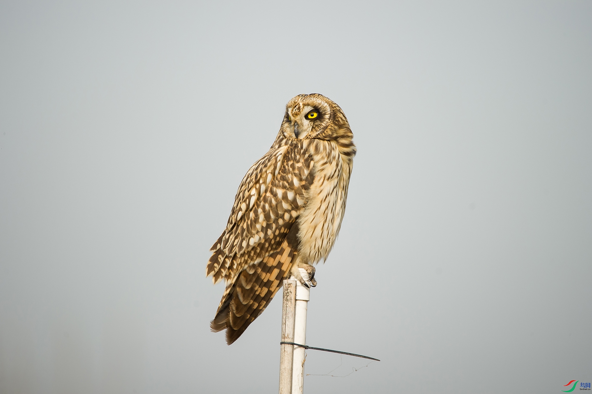 DSC_0284-20201206�ü�.jpg