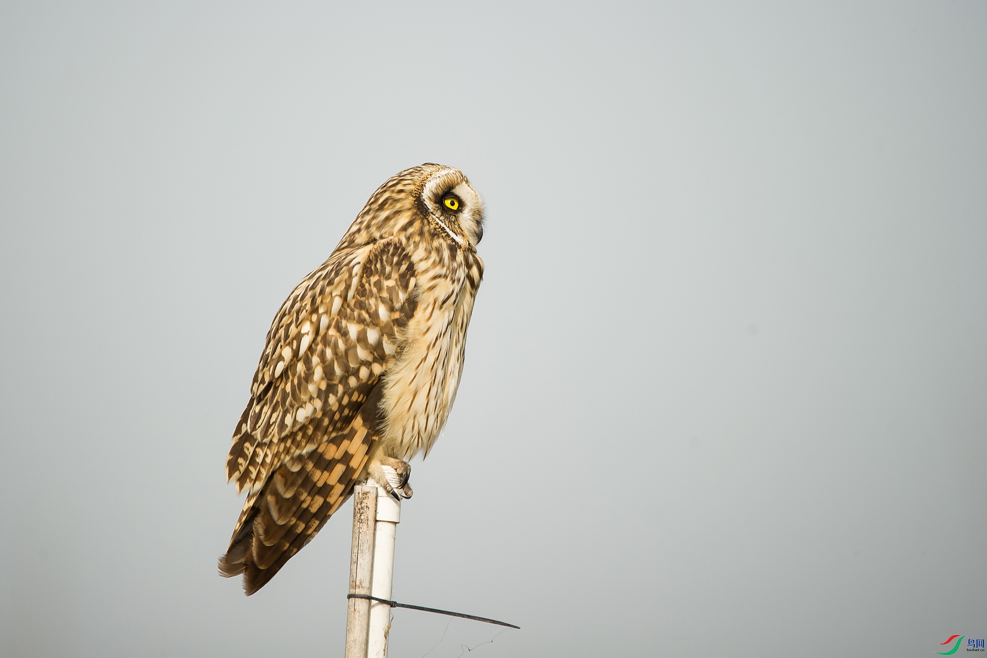 DSC_0309-20201206�ü�.jpg