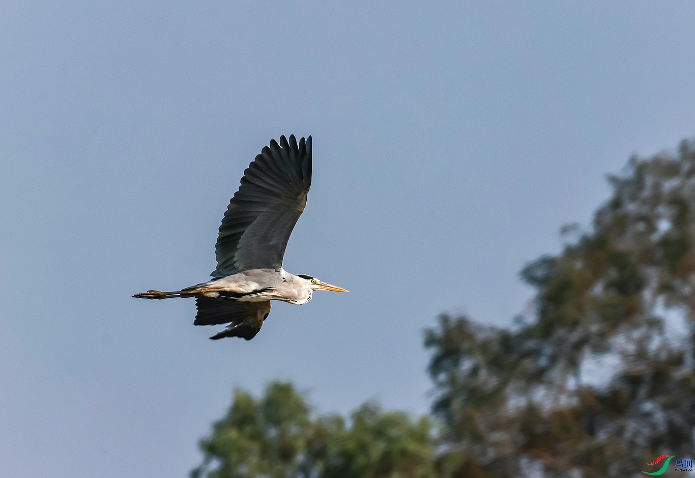 0J2A0607-0.jpg