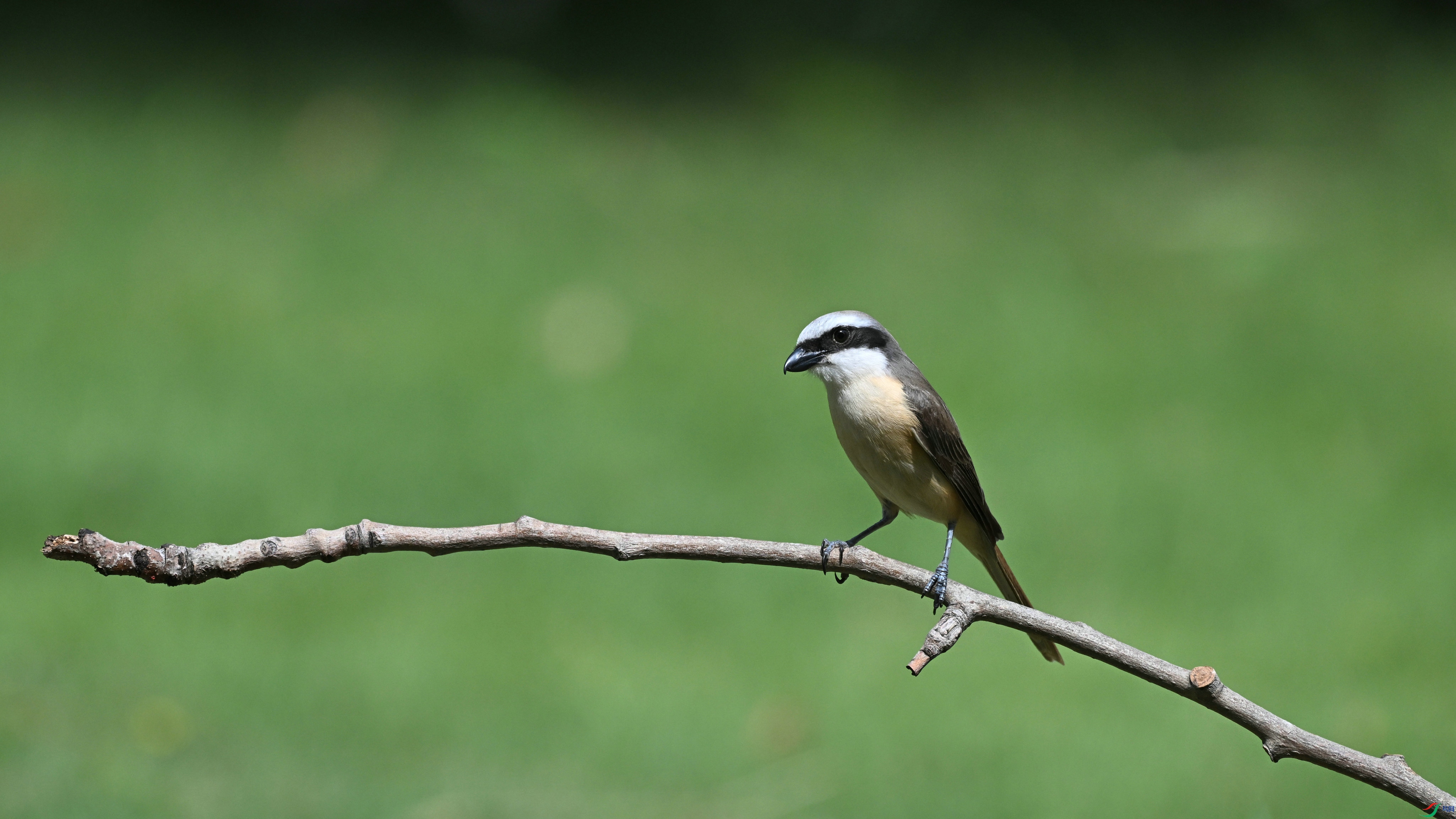 DSC_0376.JPG