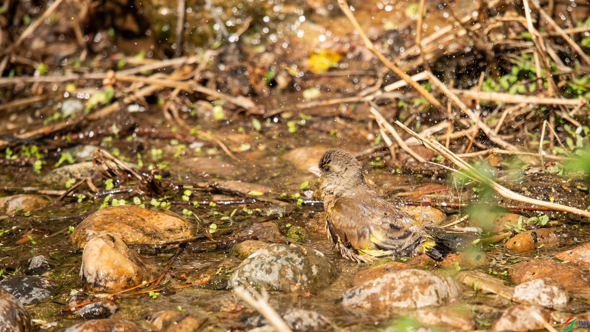 A48Z6970.jpg
