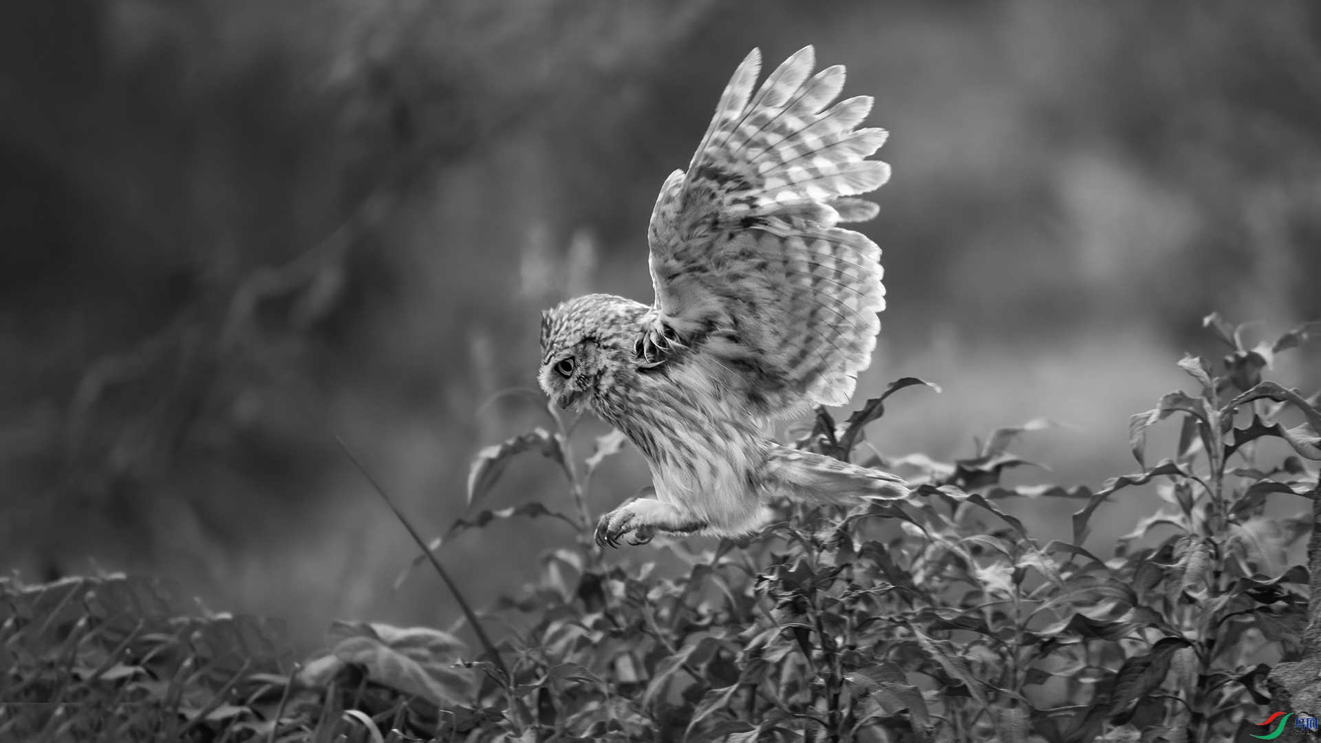 DSC_4007-1-20260707�ü�.jpg
