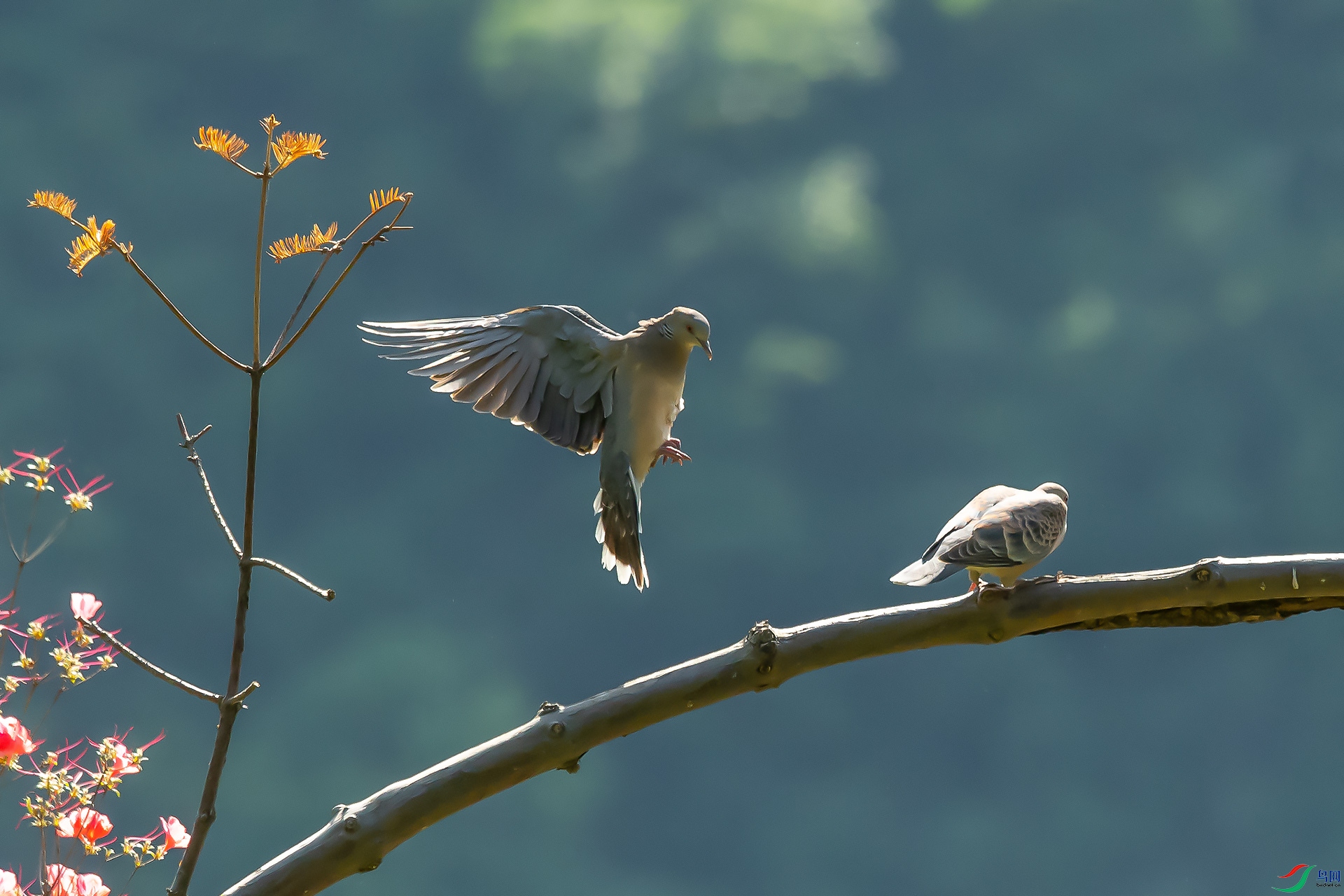 DSC_6786.jpg