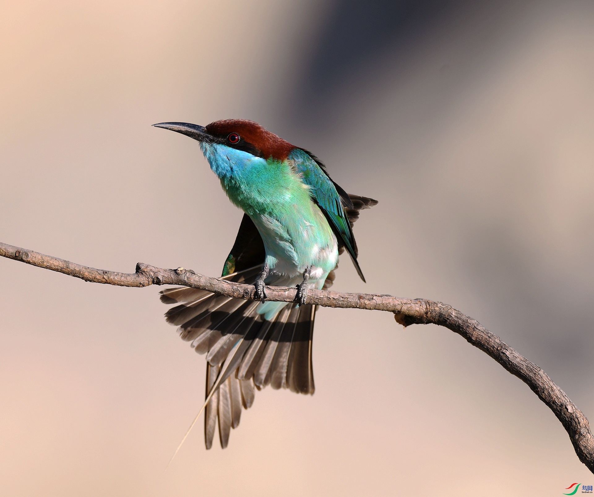 DSC_6418.jpg