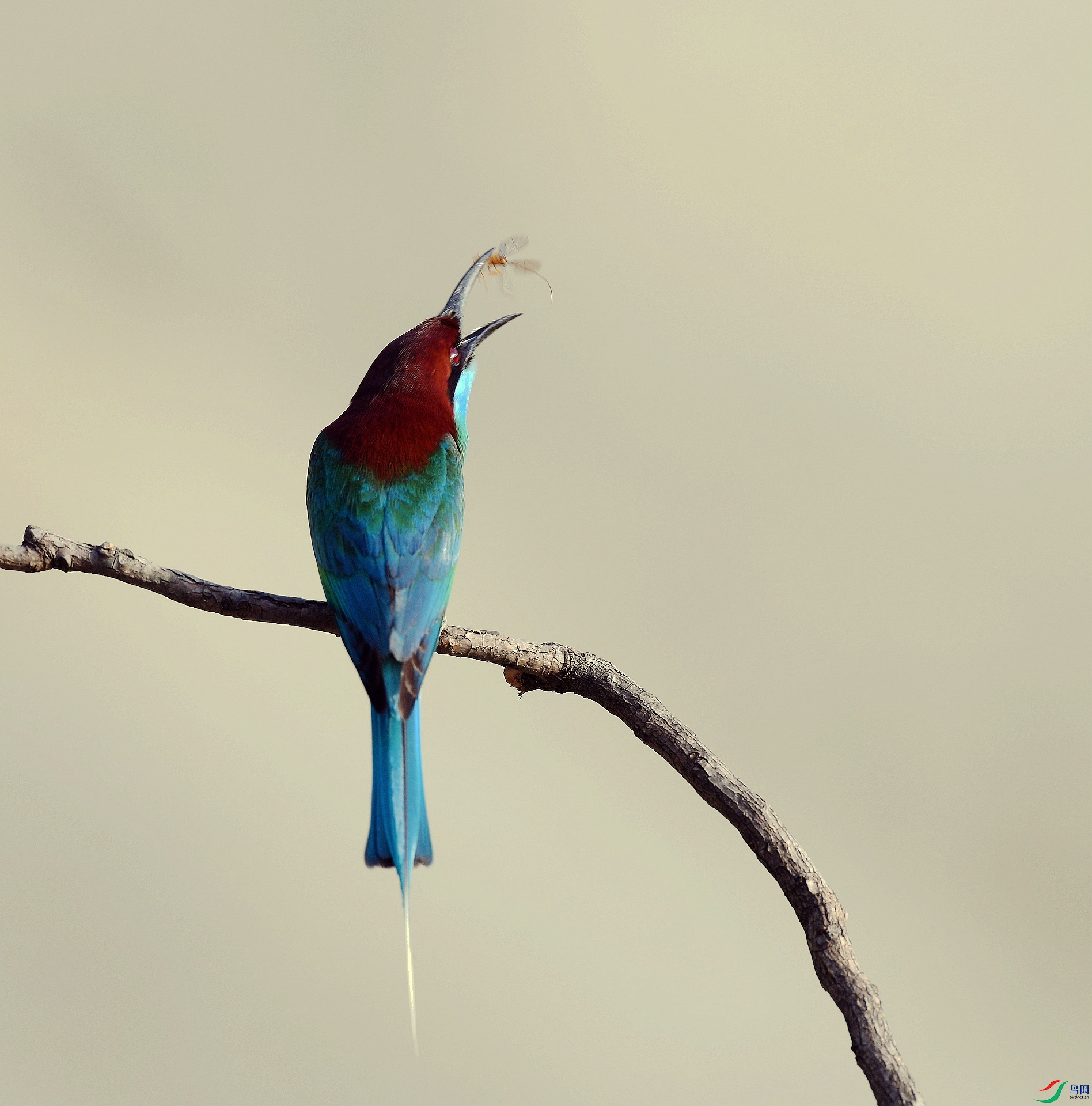 DSC_4339.jpg