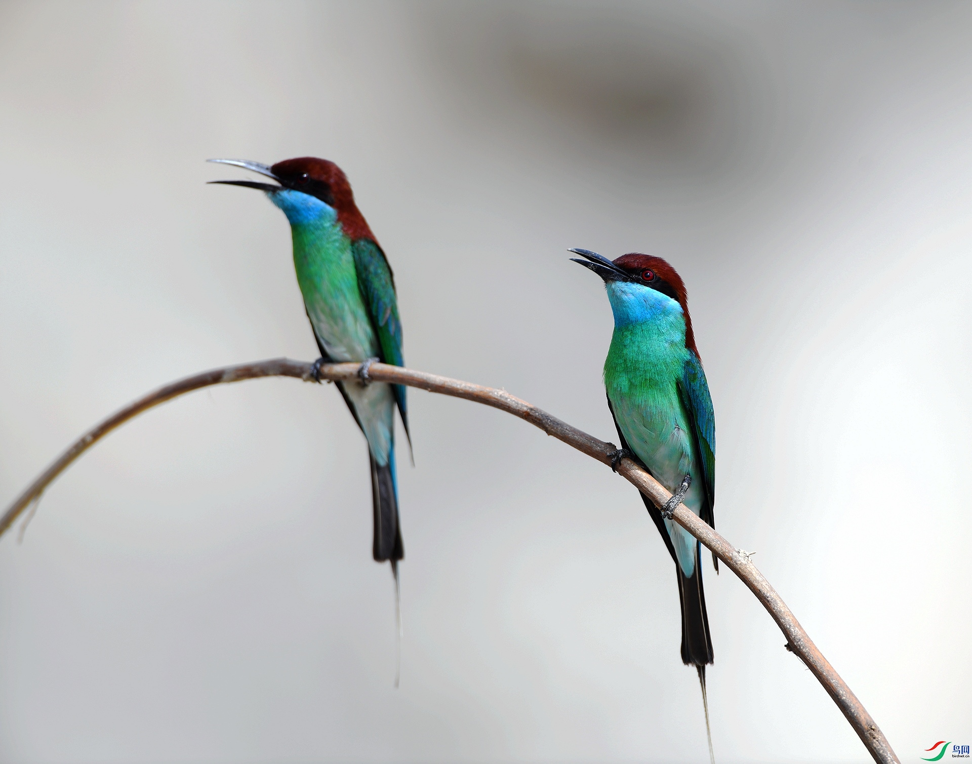 DSC_7218.jpg