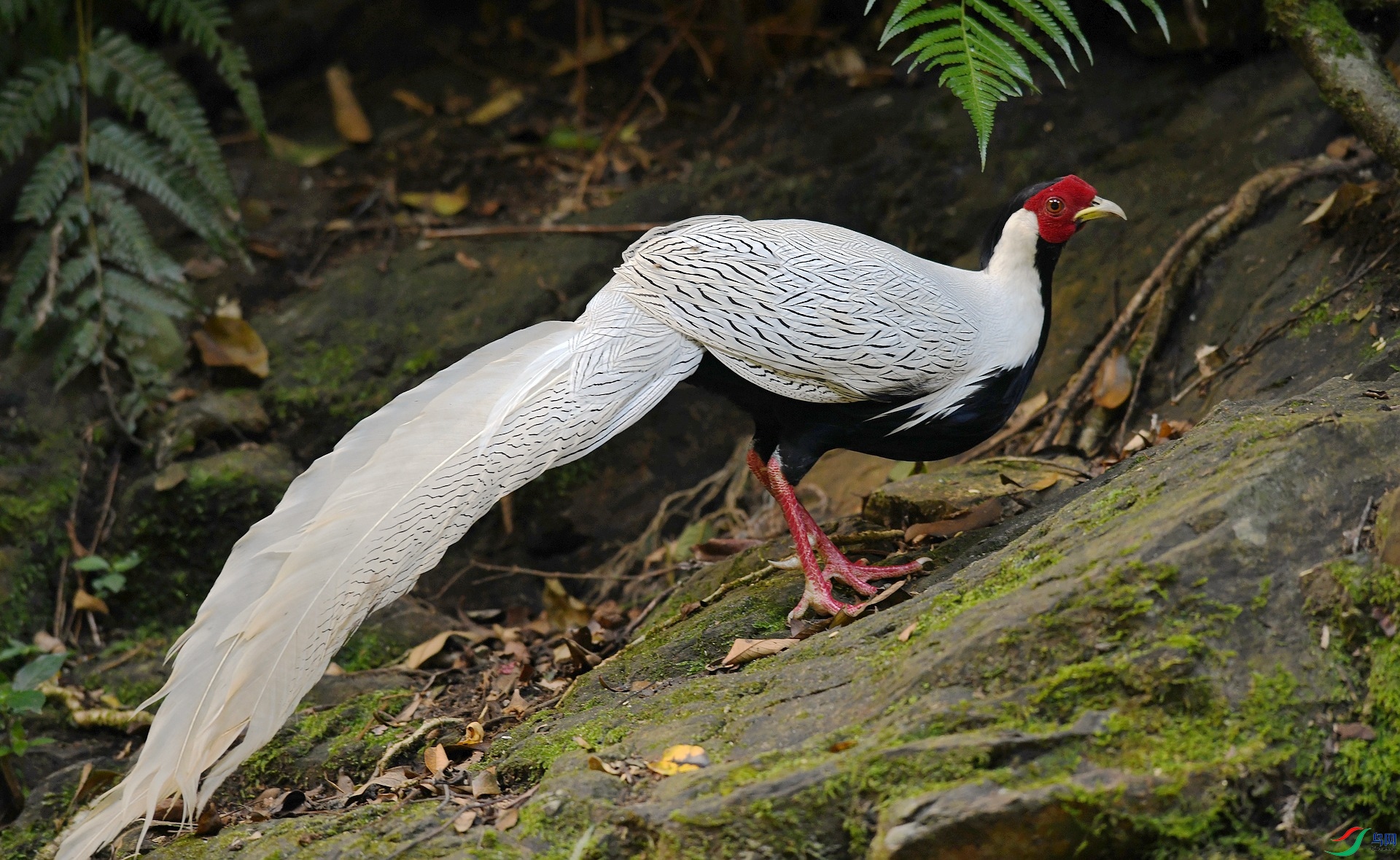 DSC_6281.jpg