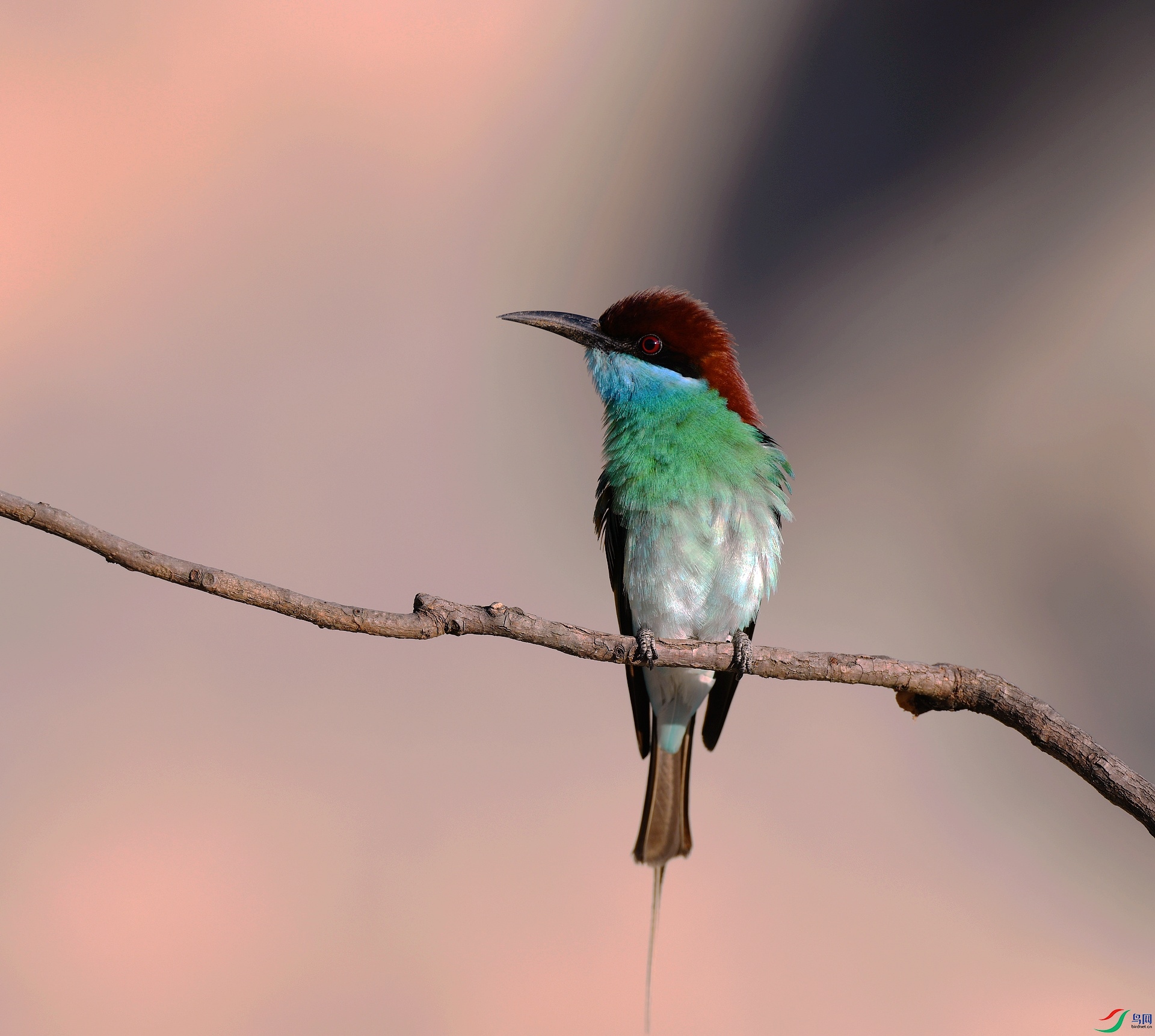 DSC_6361.jpg