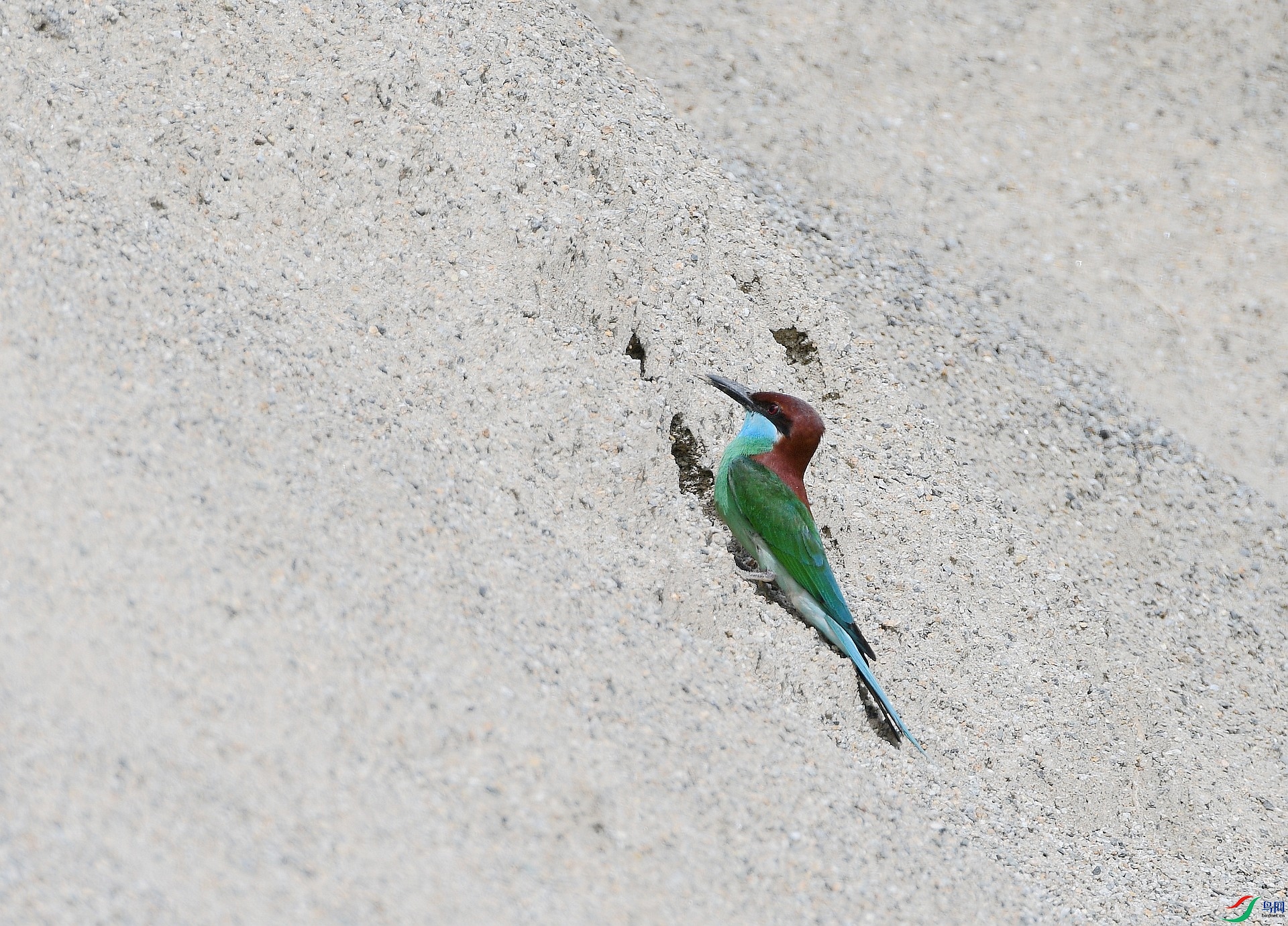 DSC_7266.jpg