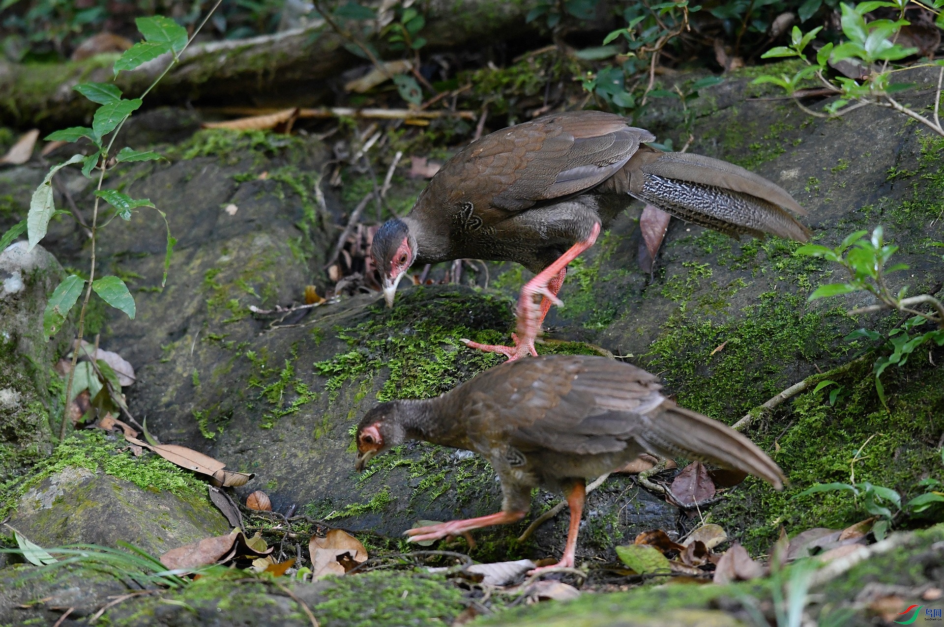 DSC_2663.jpg