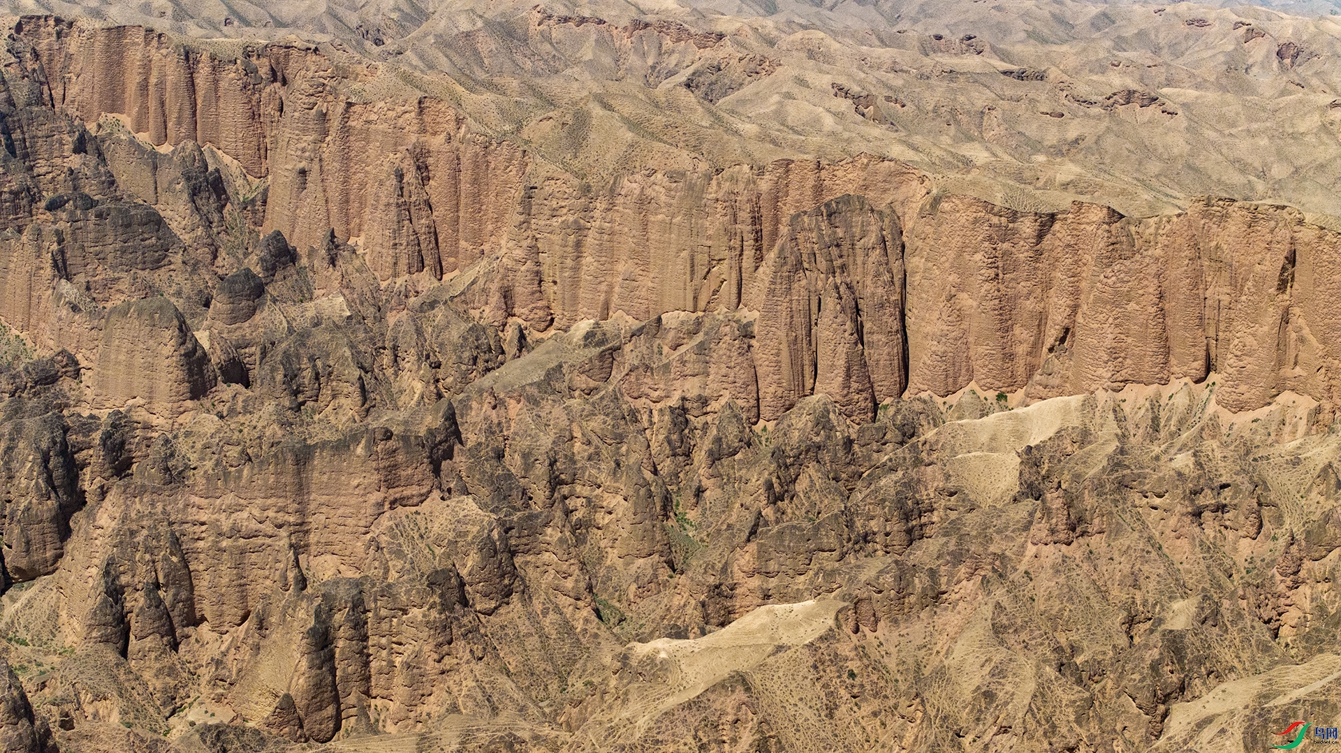 DJI_20240517115447_0527_D-1.jpg