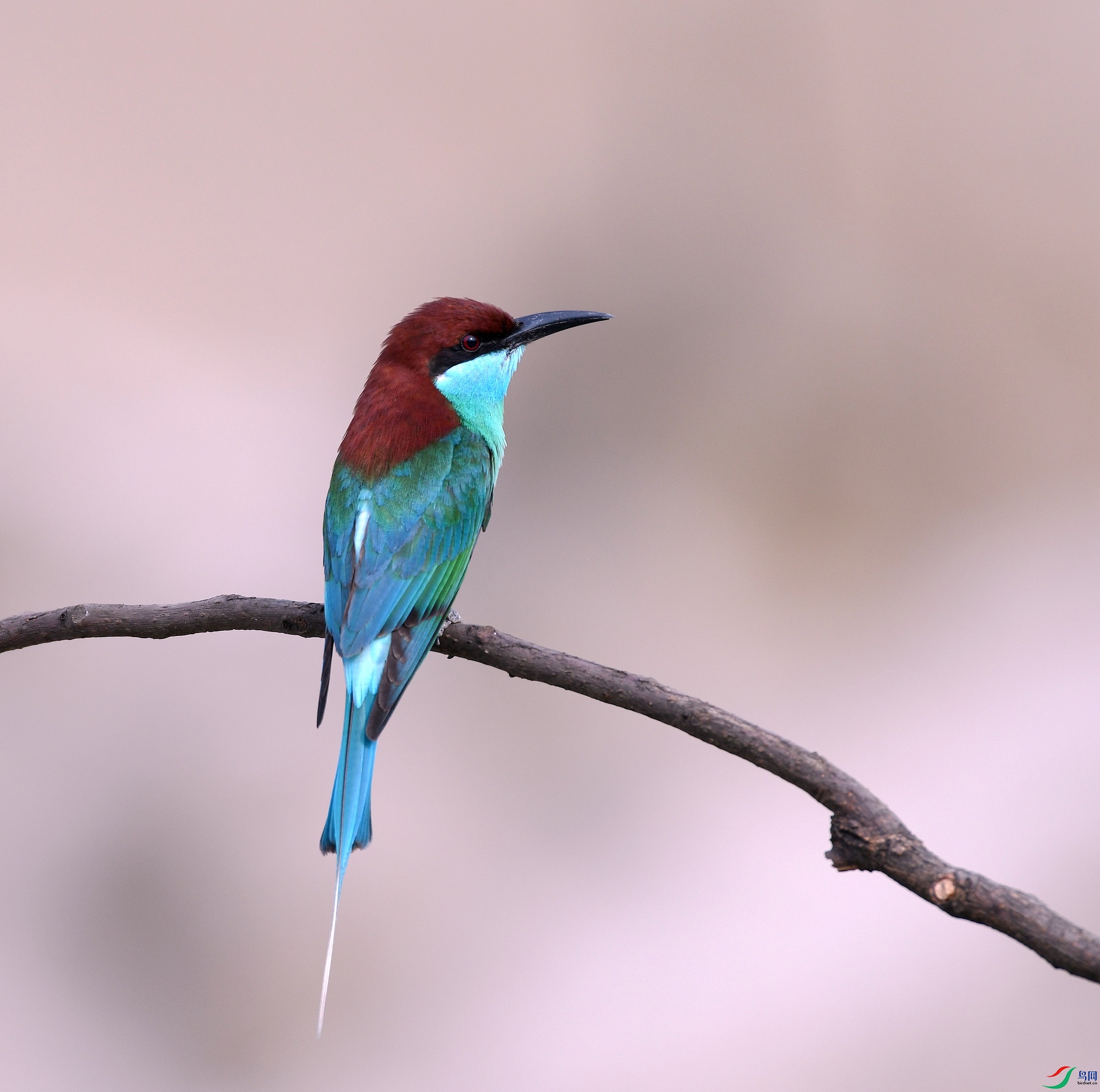 DSC_8264.jpg