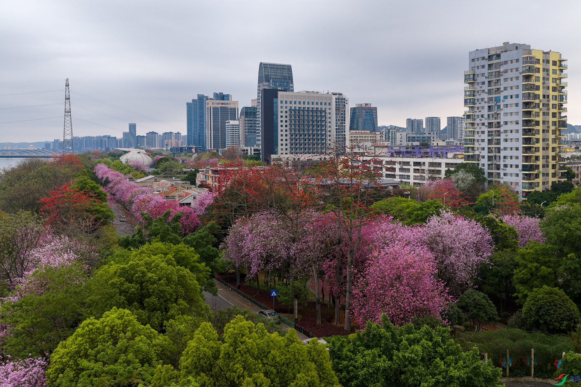 DJI_20260325071214_0047_D ����1.jpg