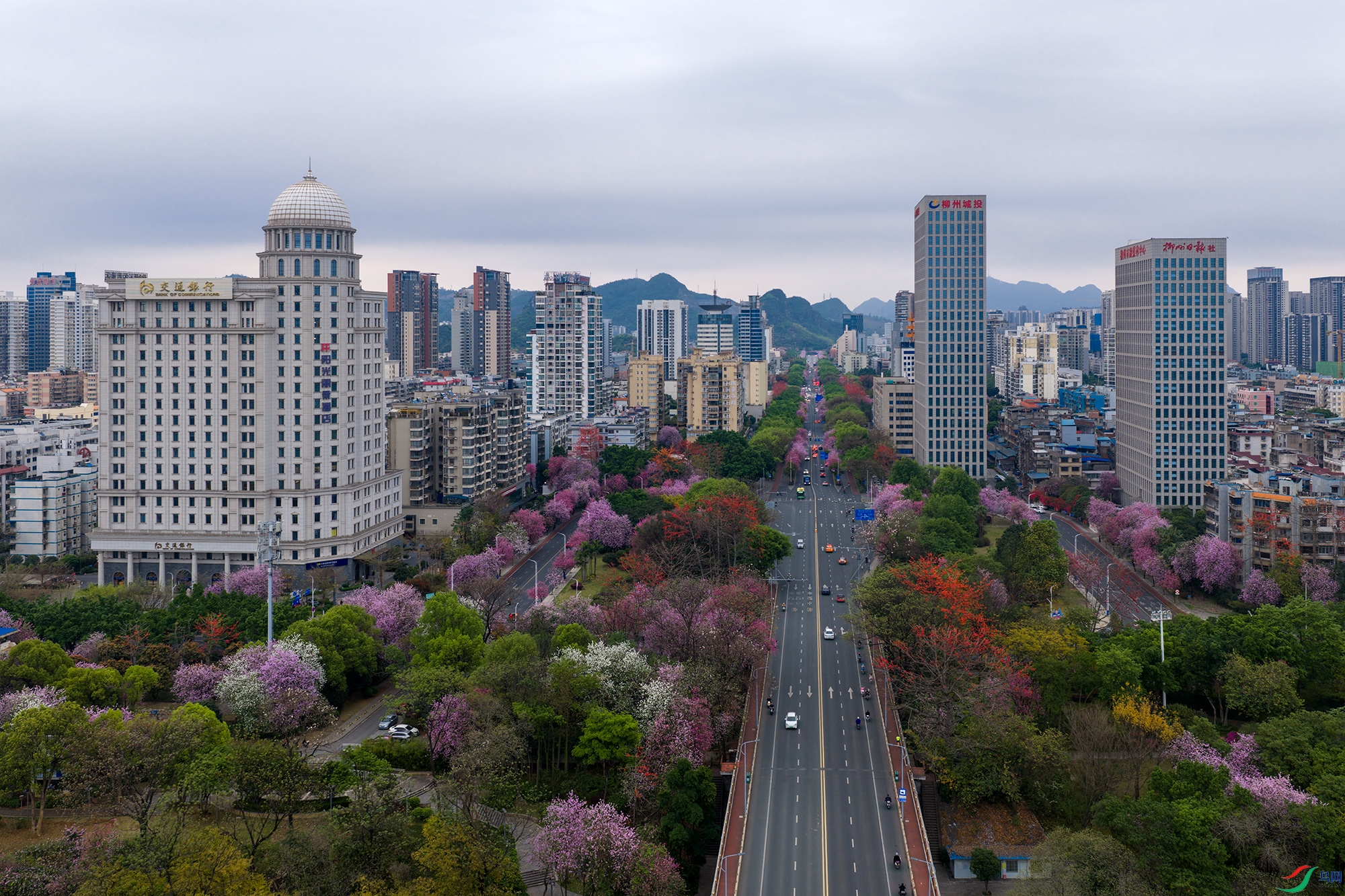 DJI_20260325072237_0068_D ����1.jpg