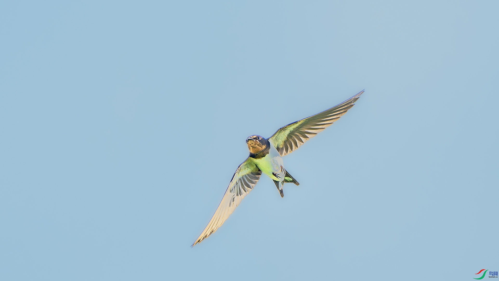 DSC_9896-����ǿ-NR ����.jpg