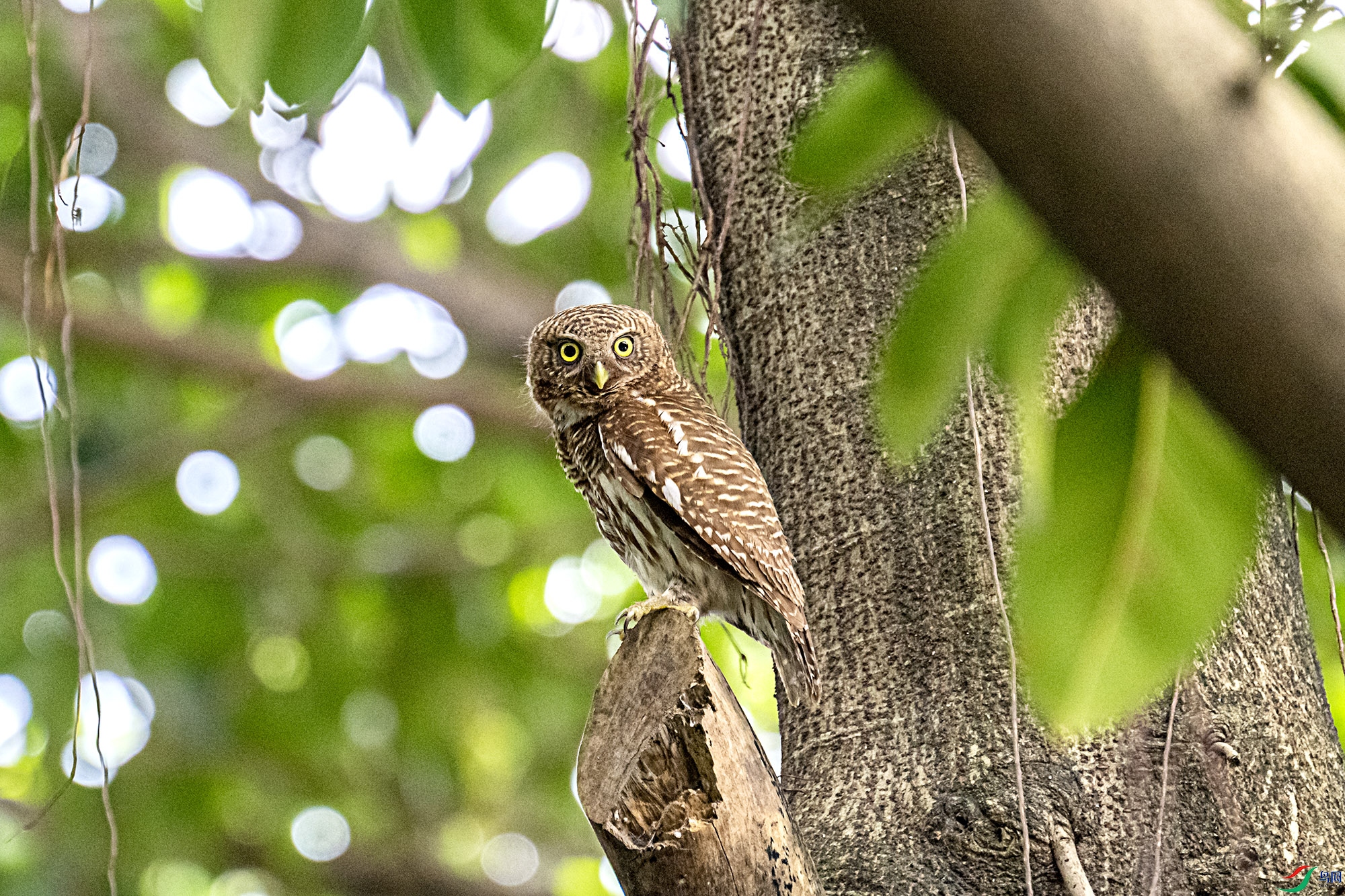 DSC_5315.jpg