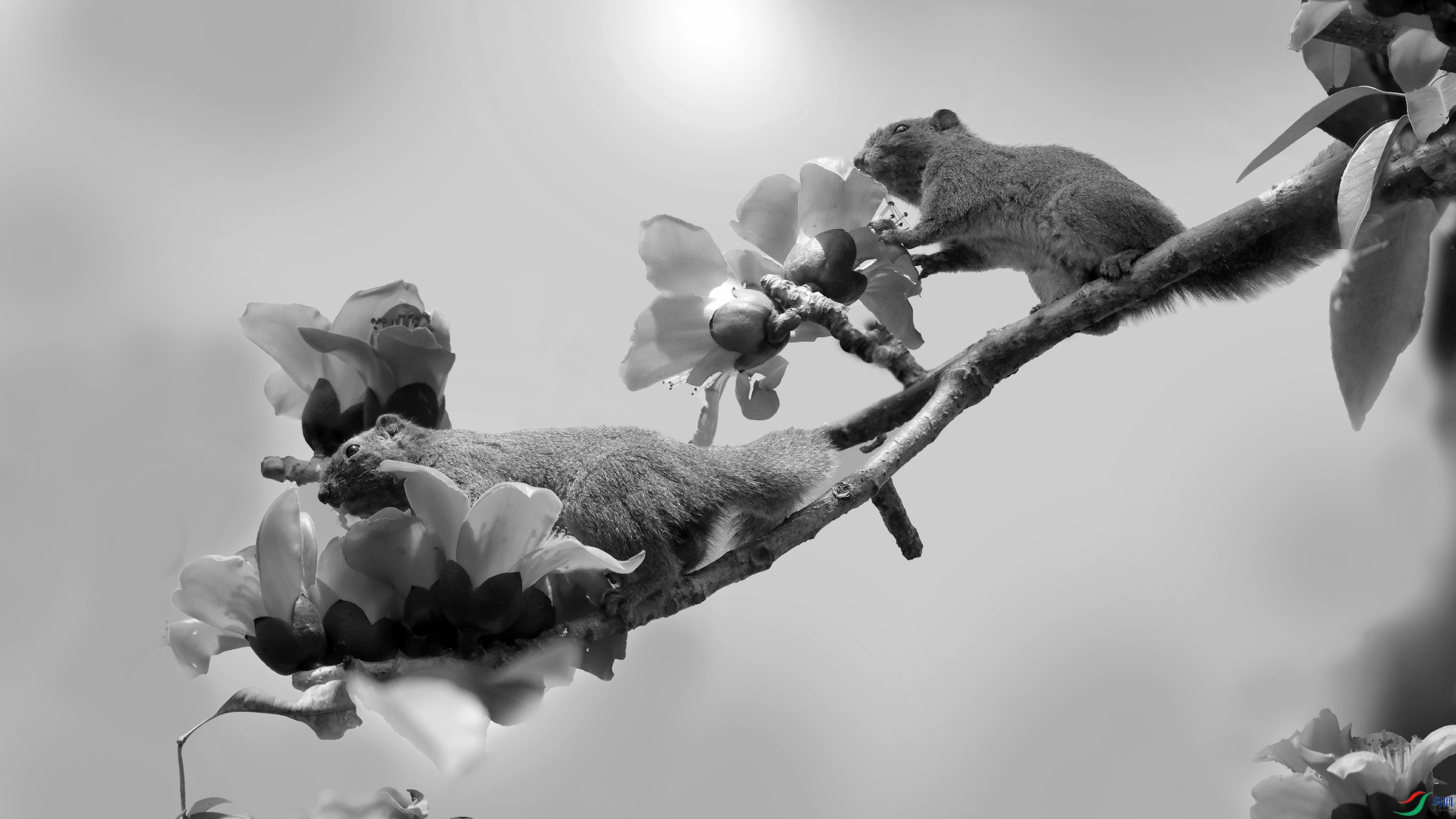 DSCF003����.jpg