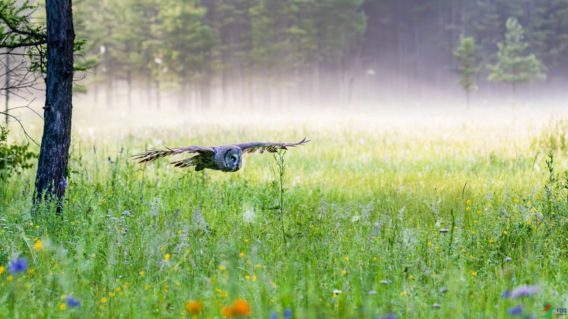 1A3A5335-����ǿ-NR.jpg