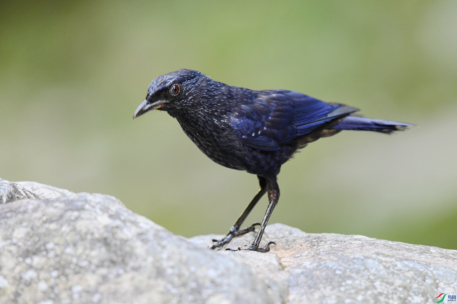 DSC_2628.jpg