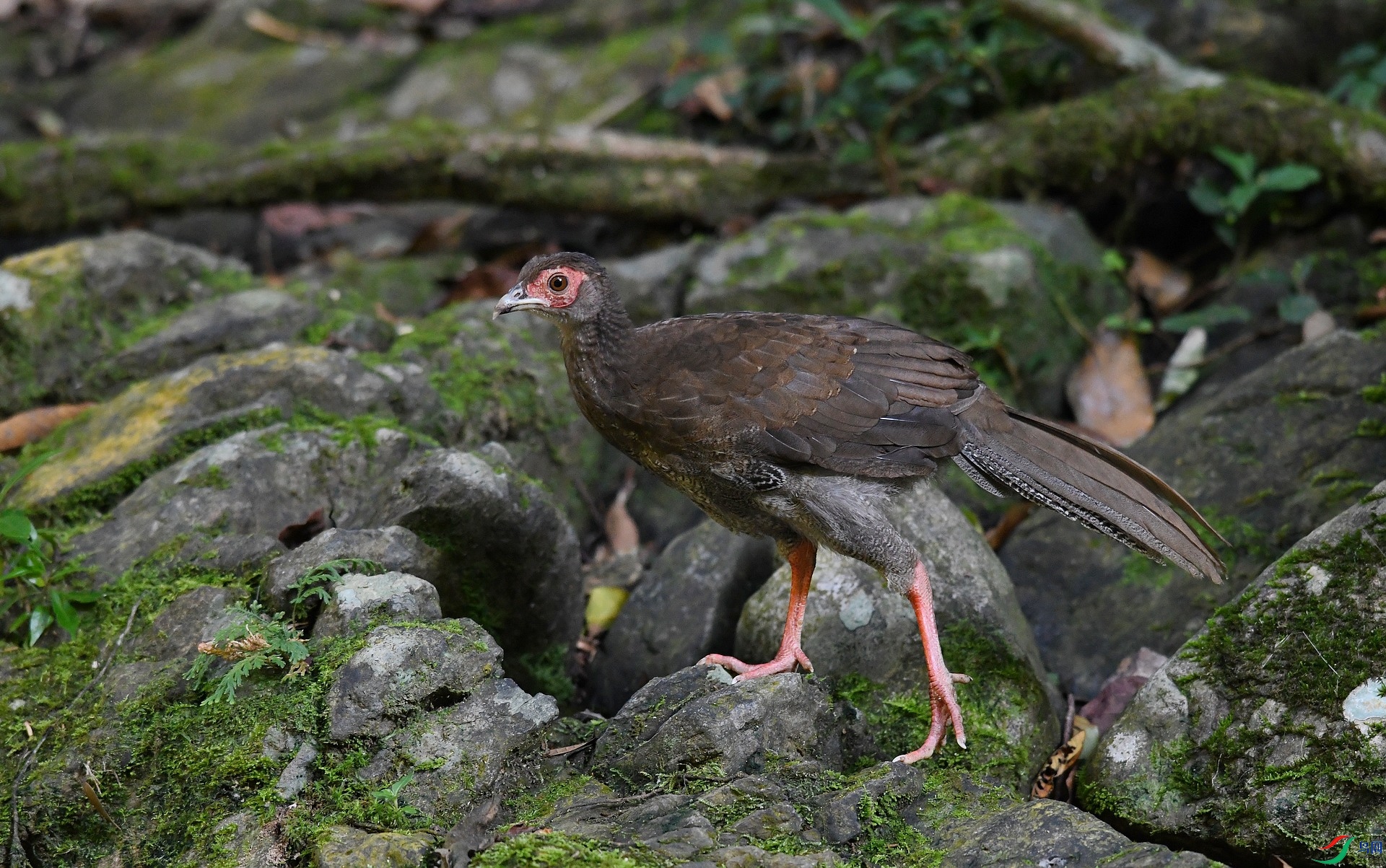 DSC_2668.jpg