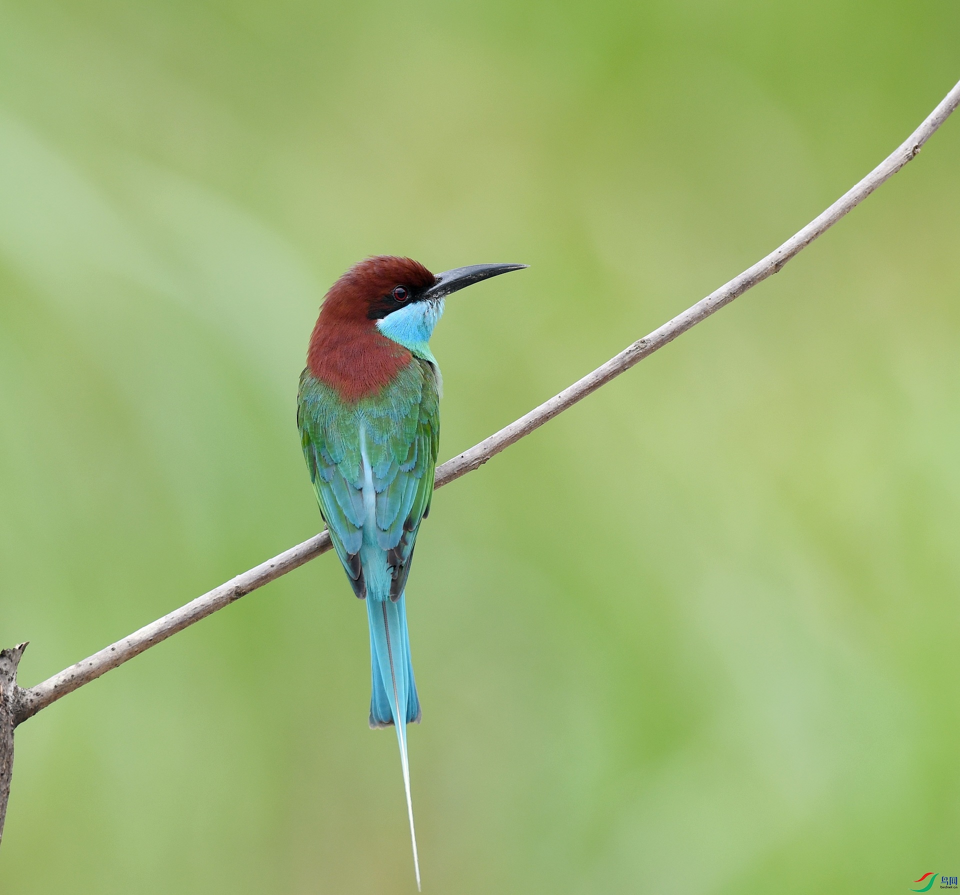 DSC_6818.jpg