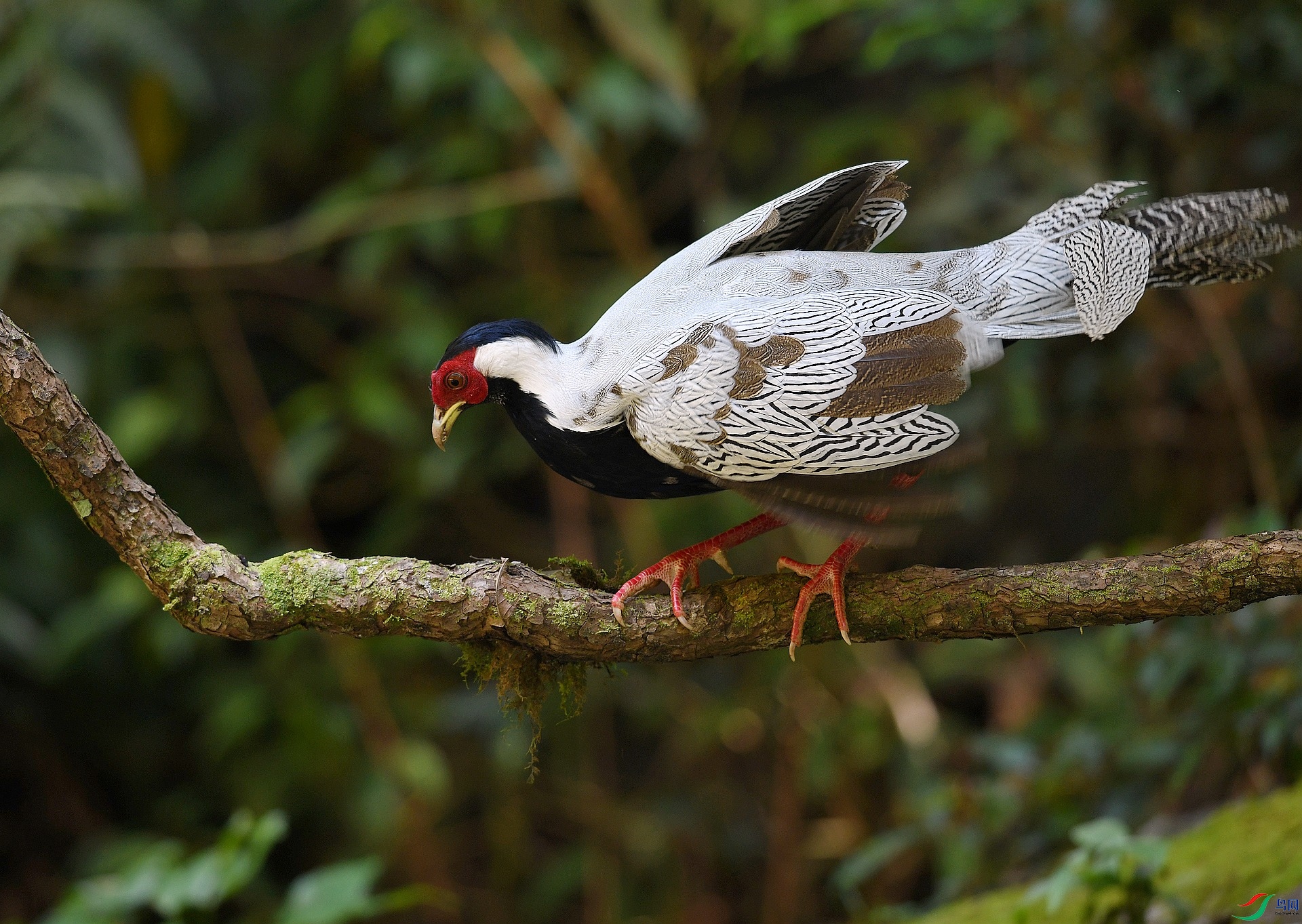 DSC_2056.jpg