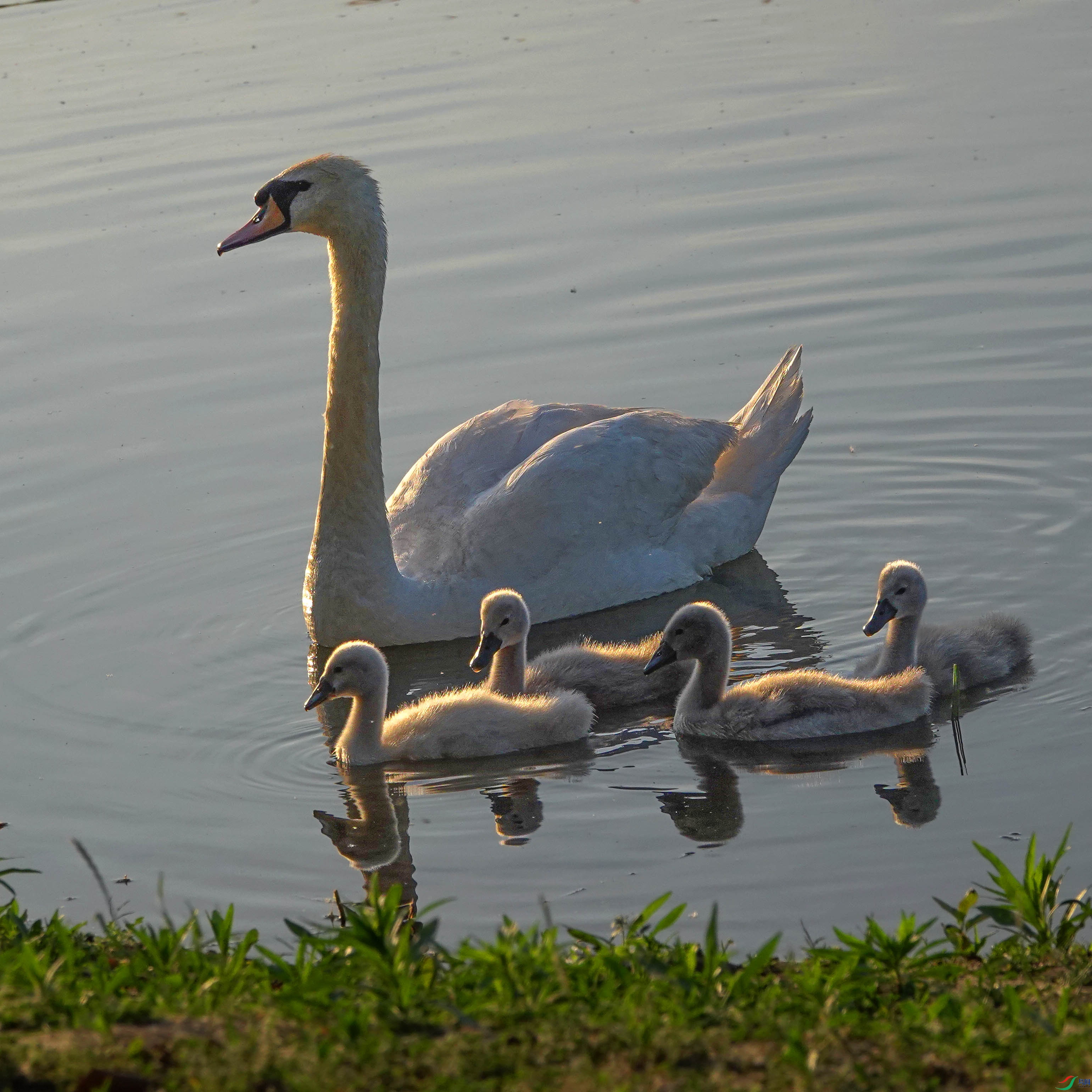 DSC08240.JPG