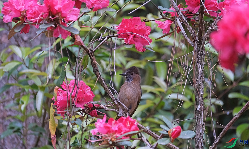 DSCF9096.1.jpg