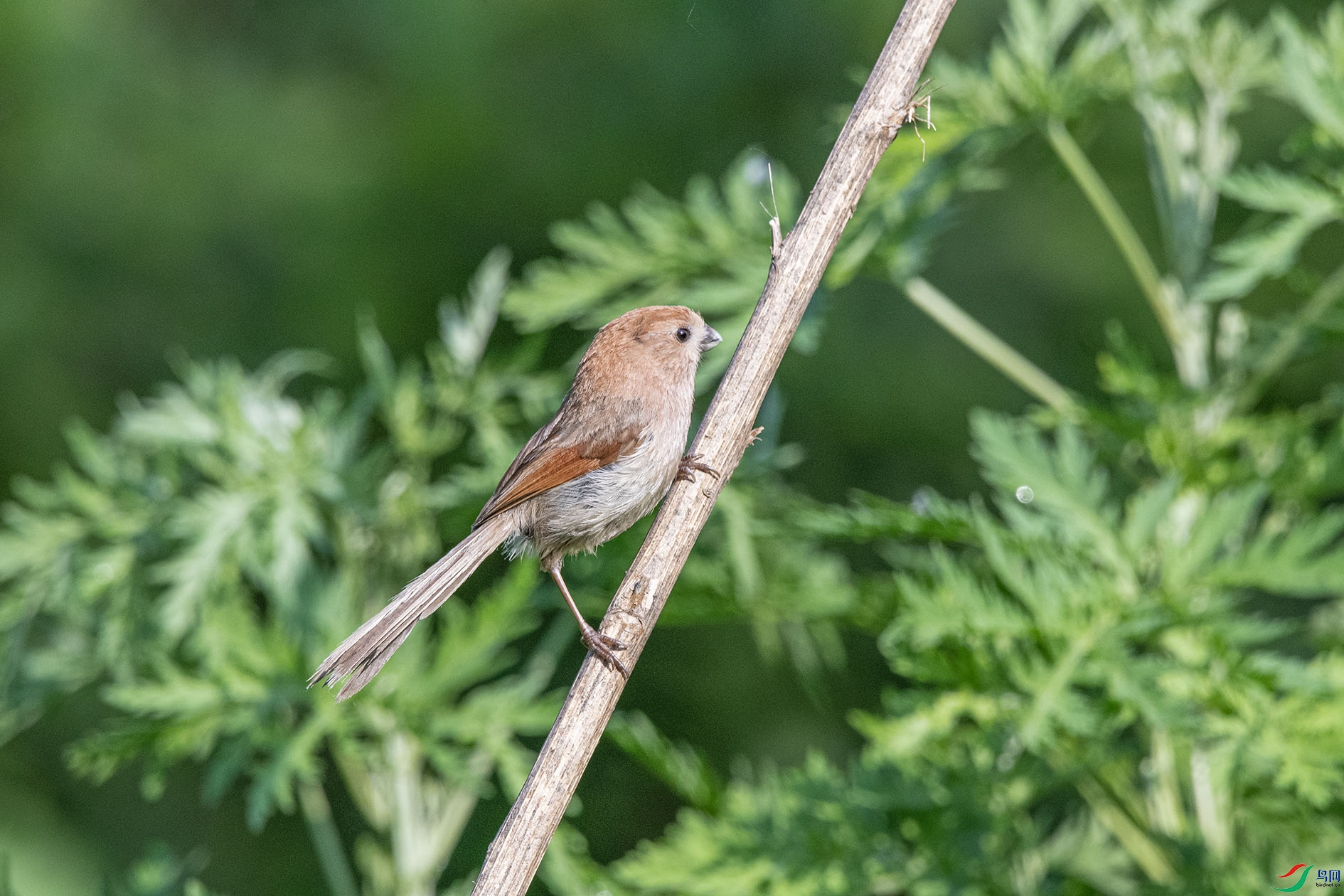 DSC_3974_��ͼ�� ����.jpg