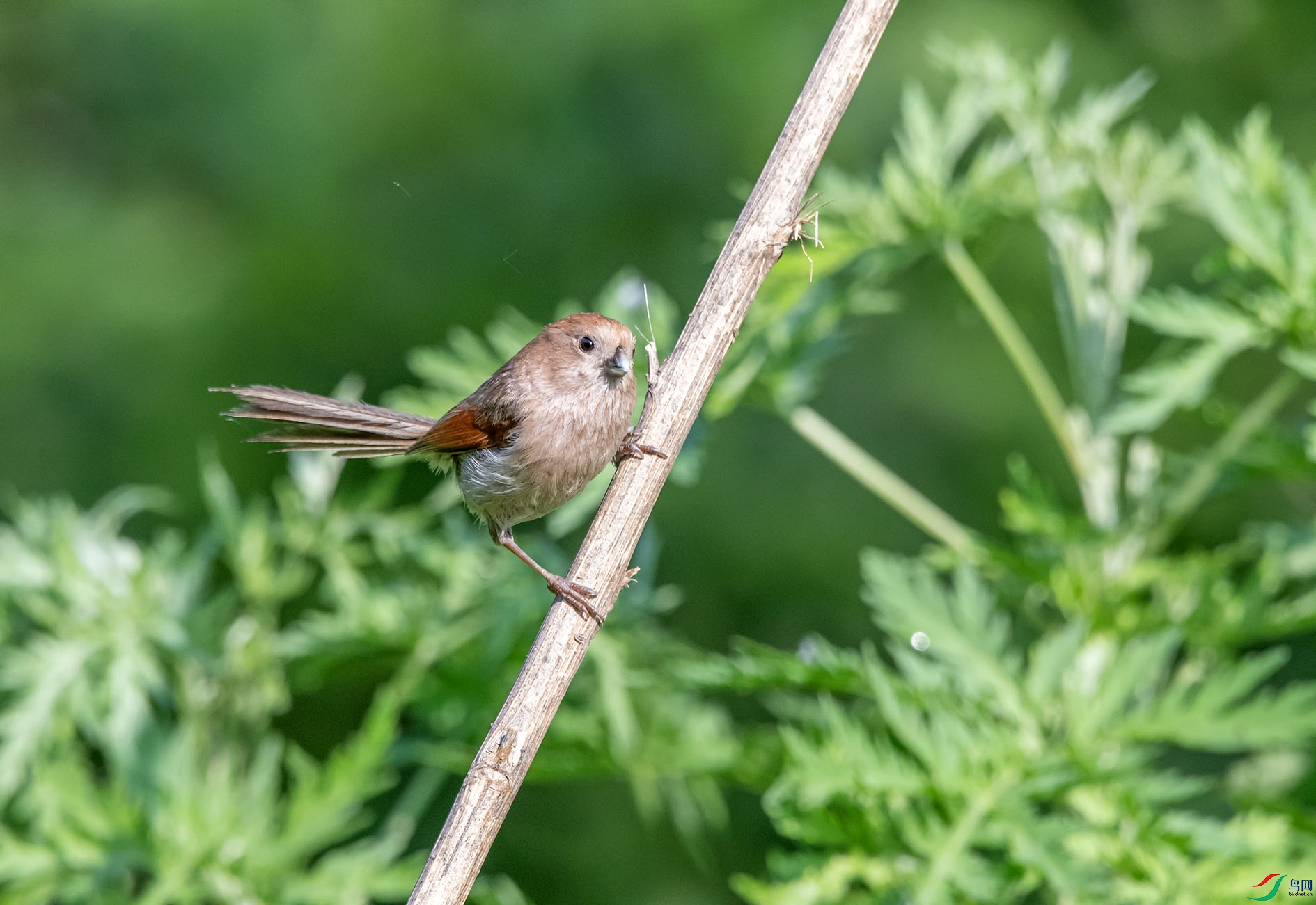 DSC_3990_��ͼ�� ����.jpg
