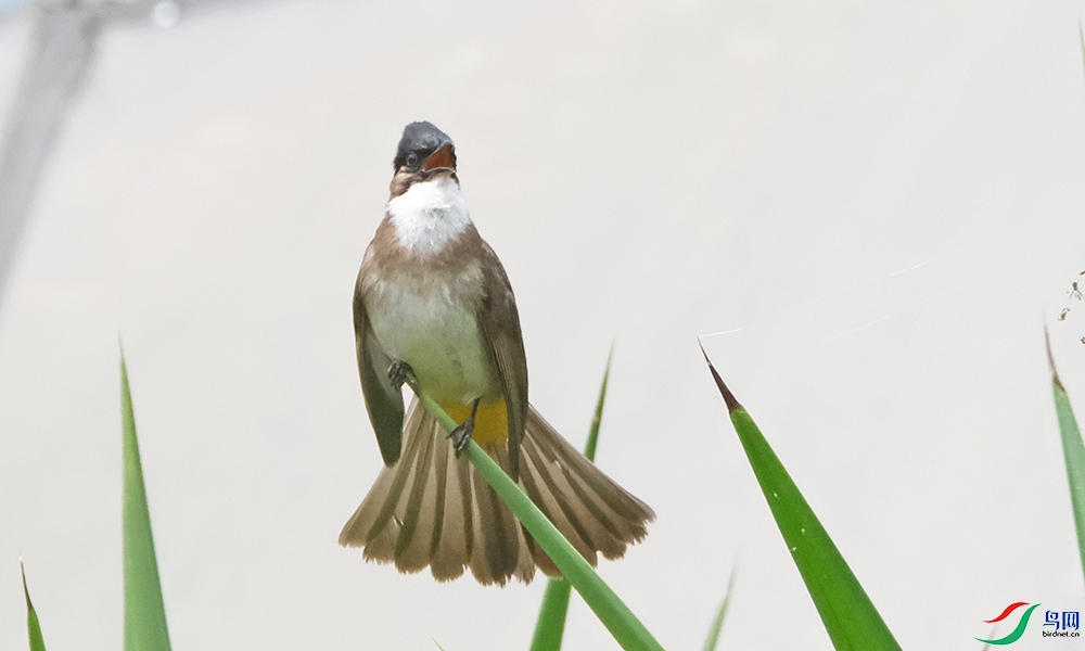 DSCF9614.1.jpg