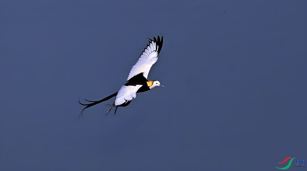 DSC_6857.JPG