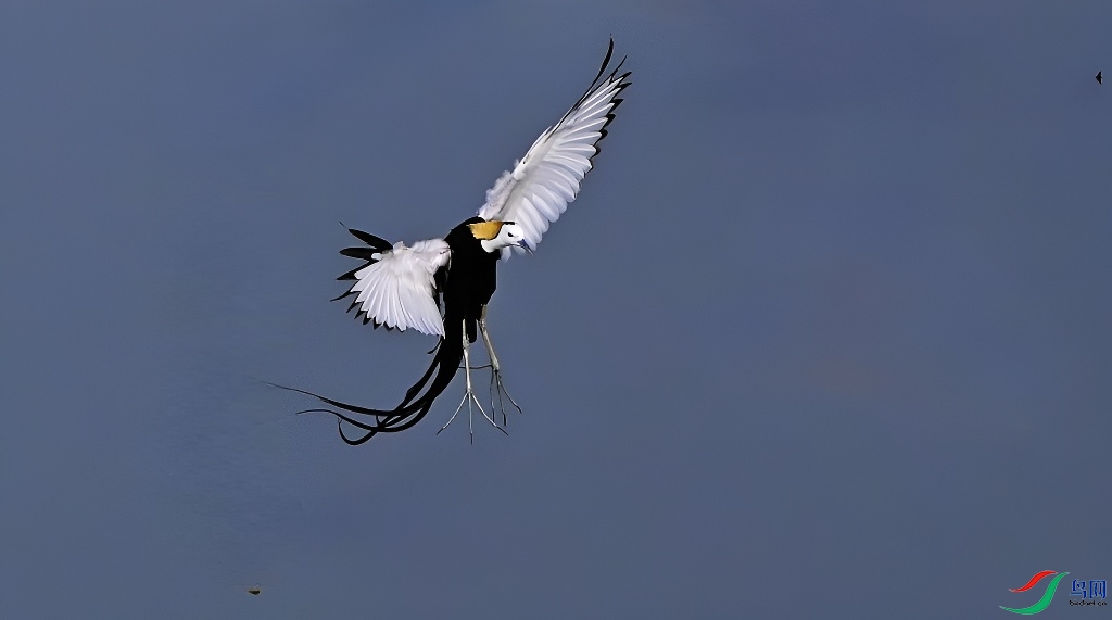 DSC_6867.JPG