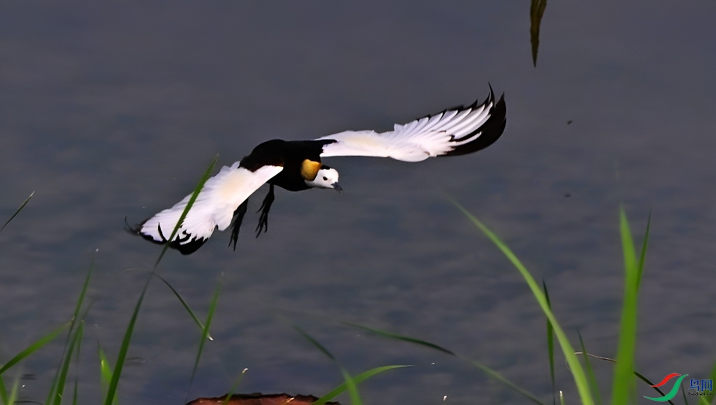 DSC_6909.JPG
