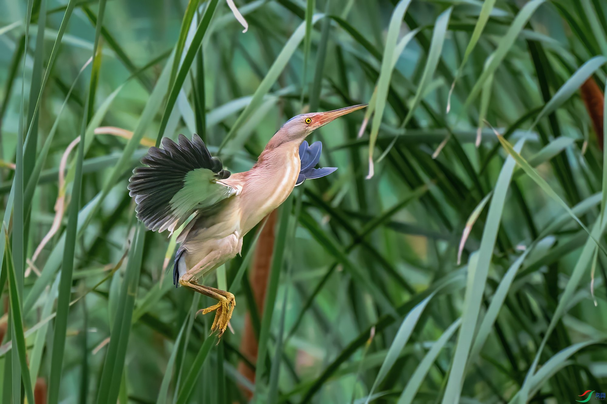 DSC_1073.jpg