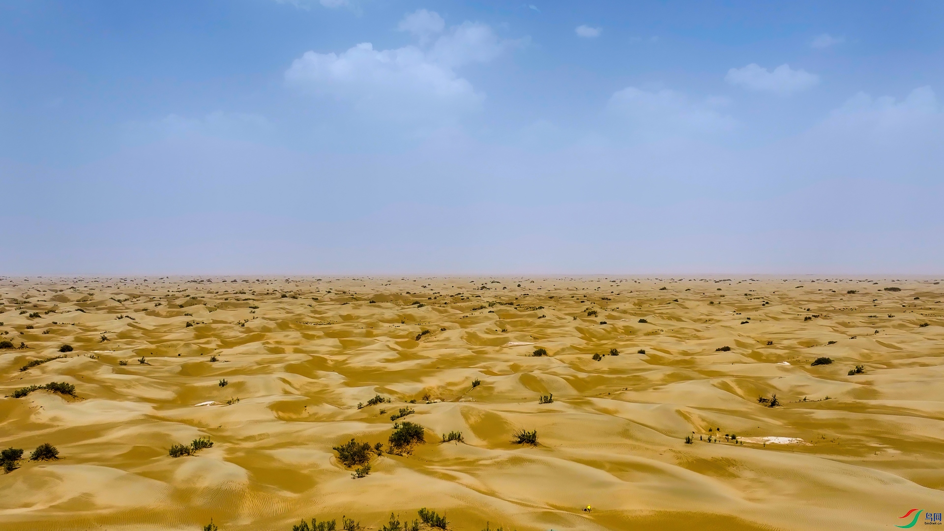 DJI_20260629163239_0132_D132.jpg